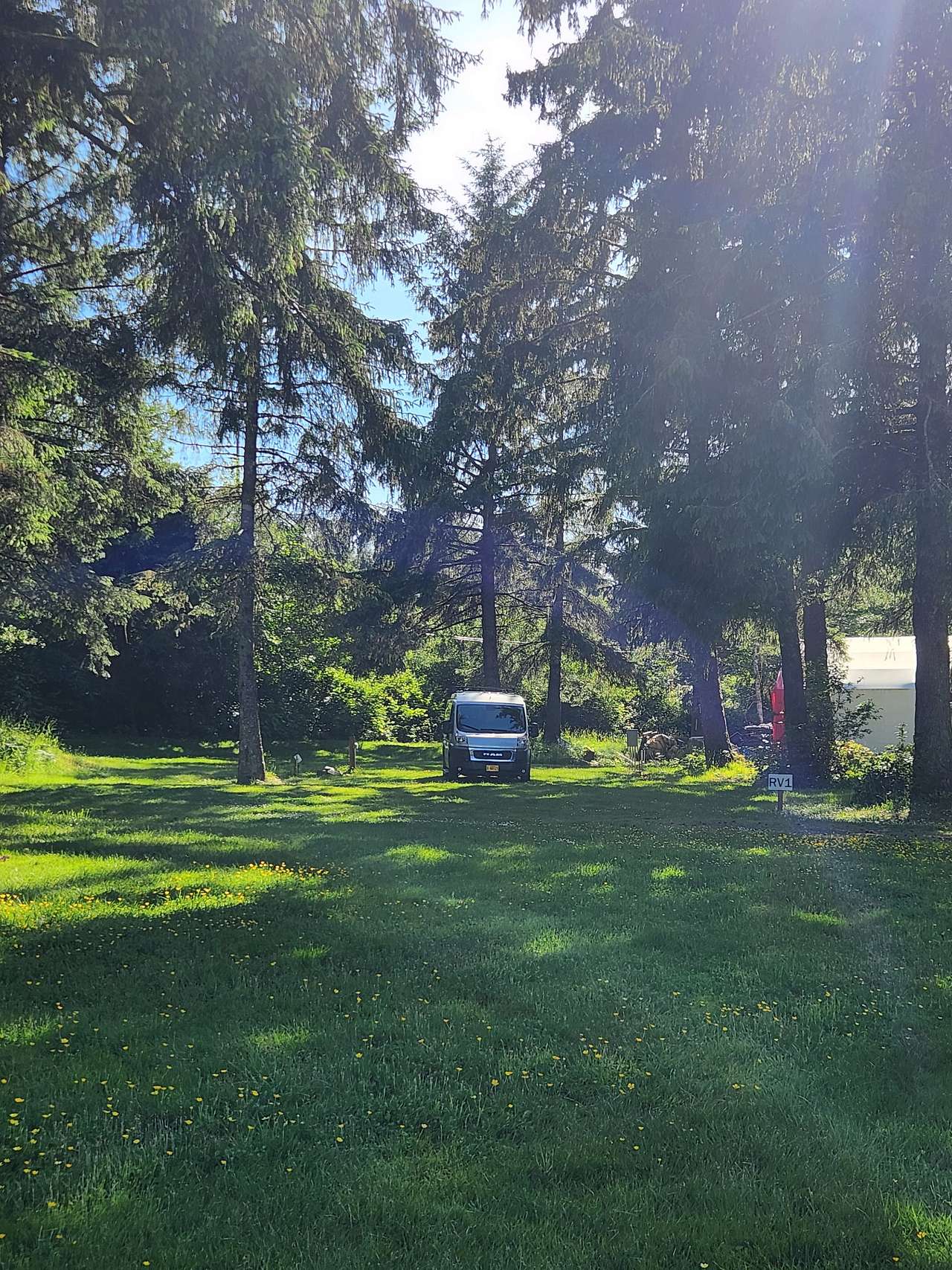 Picture of the site