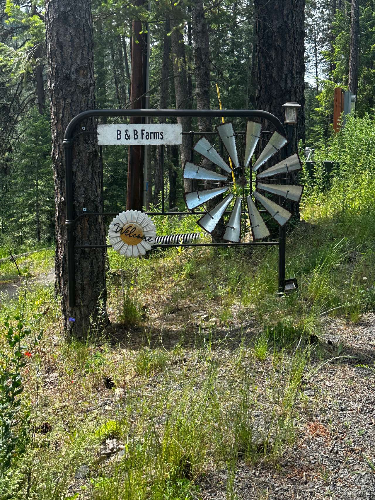 Picture of the site