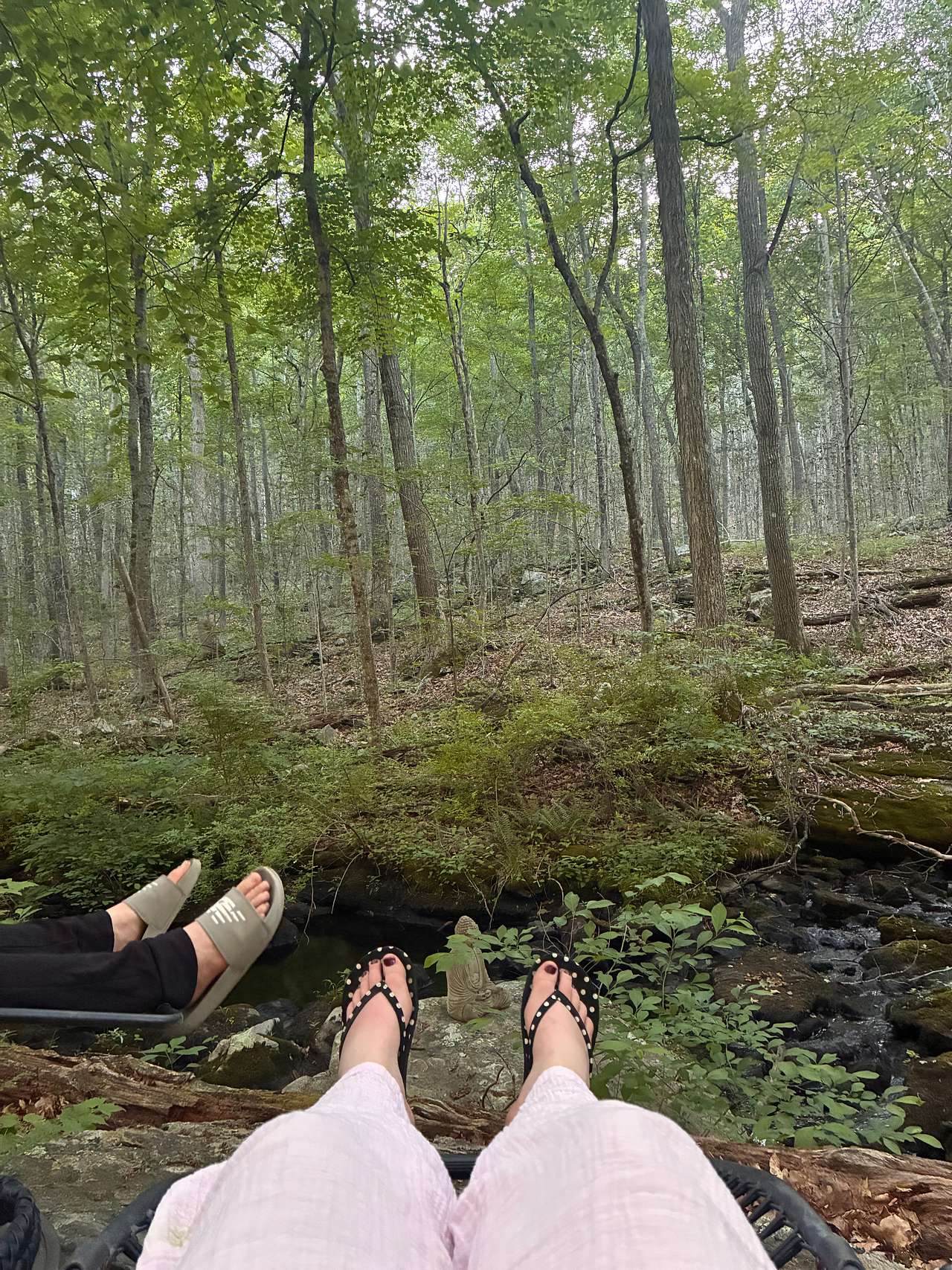 Water Forest Retreat