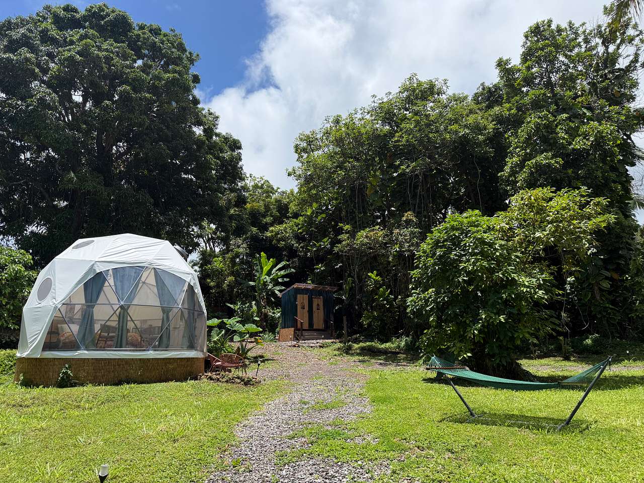 Mana Grove Domes