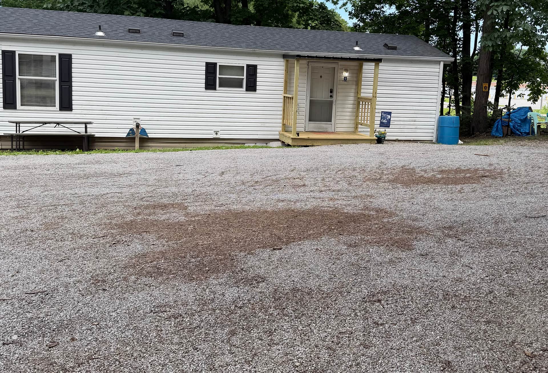 Picture of the site