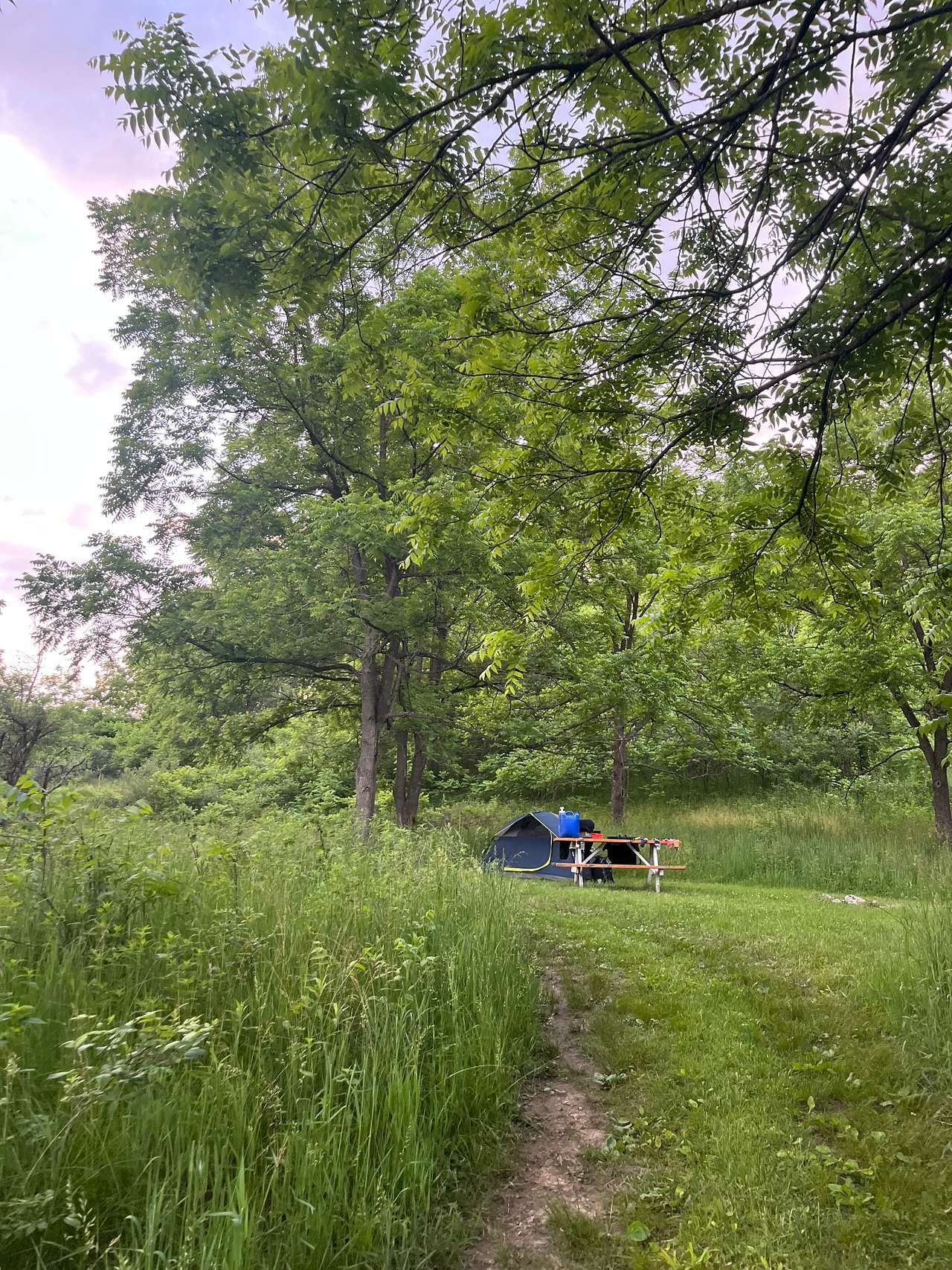 Picture of the site