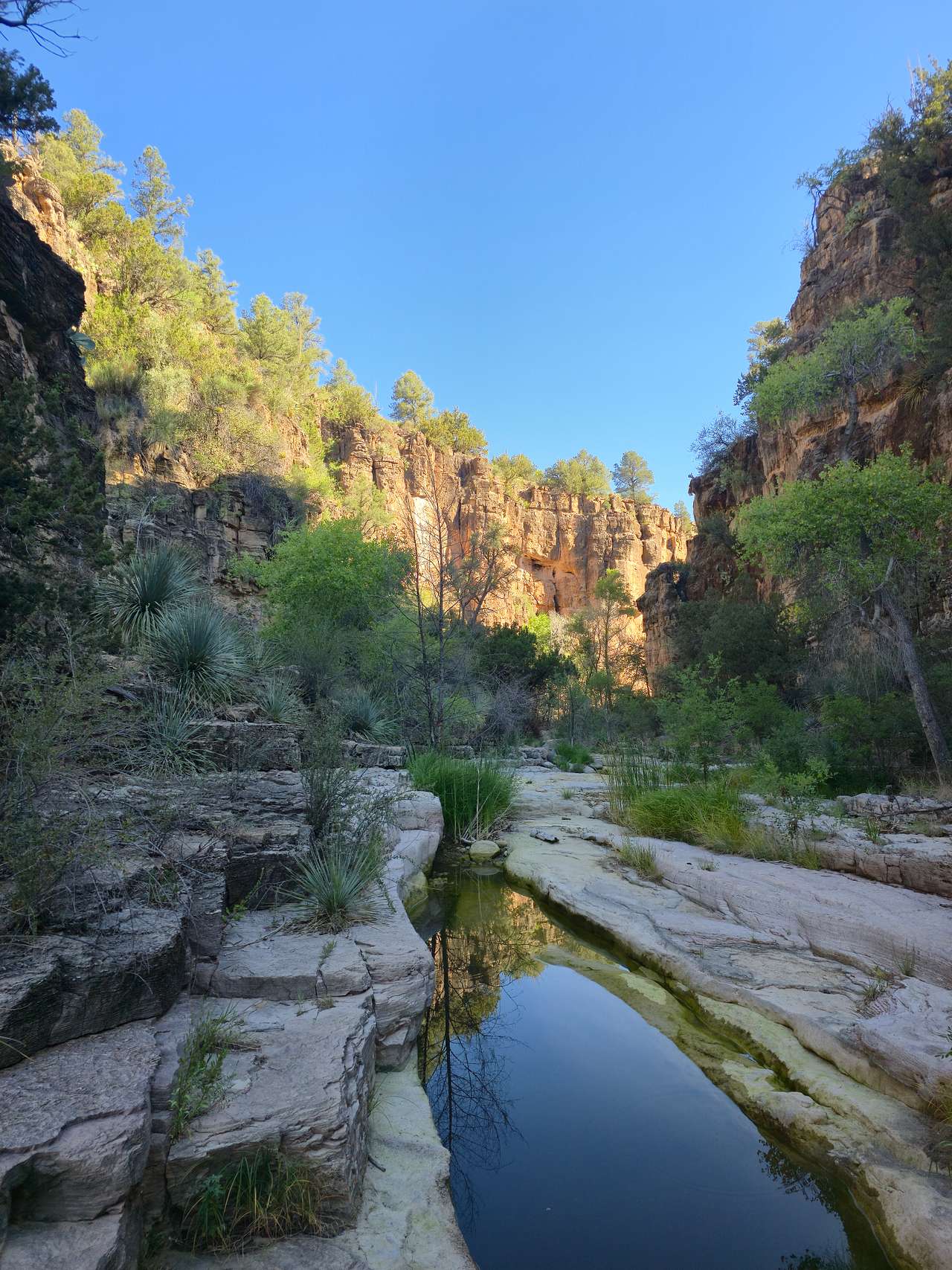 Ash Creek Canyon Preserve