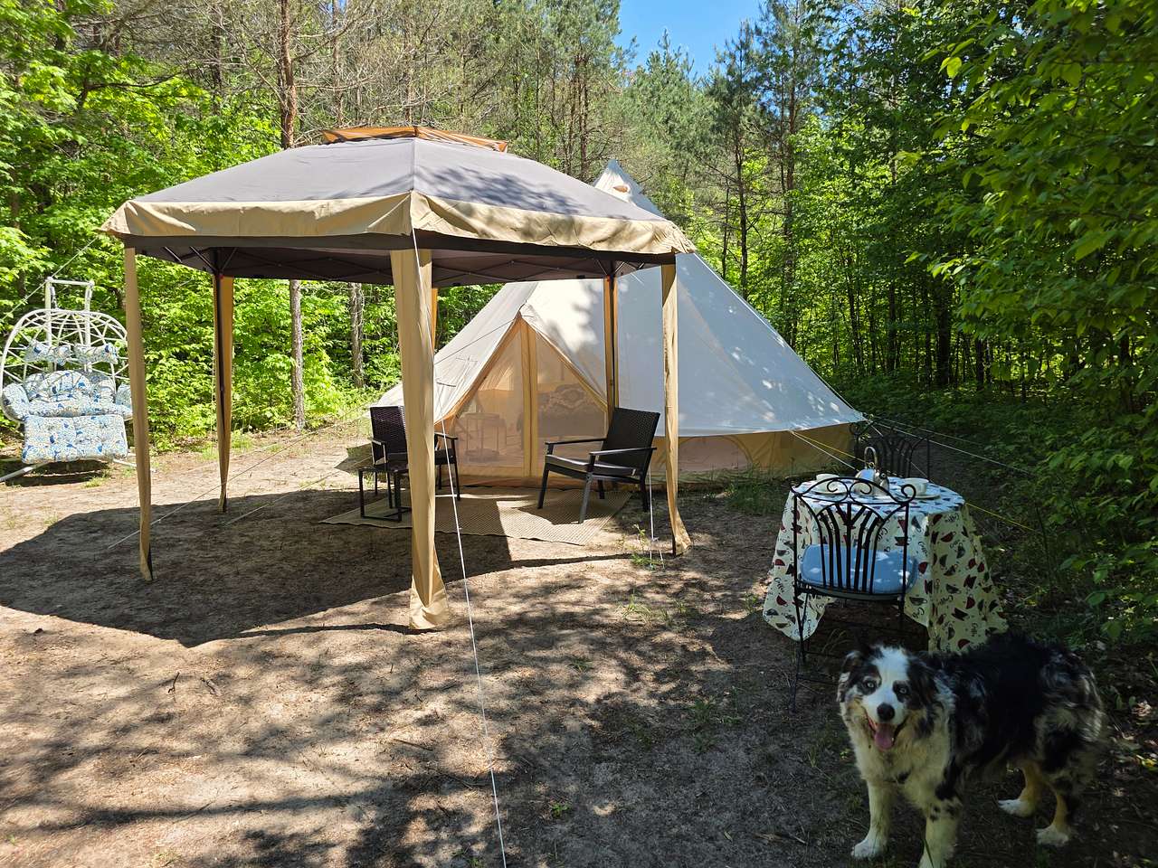 Picture of the site