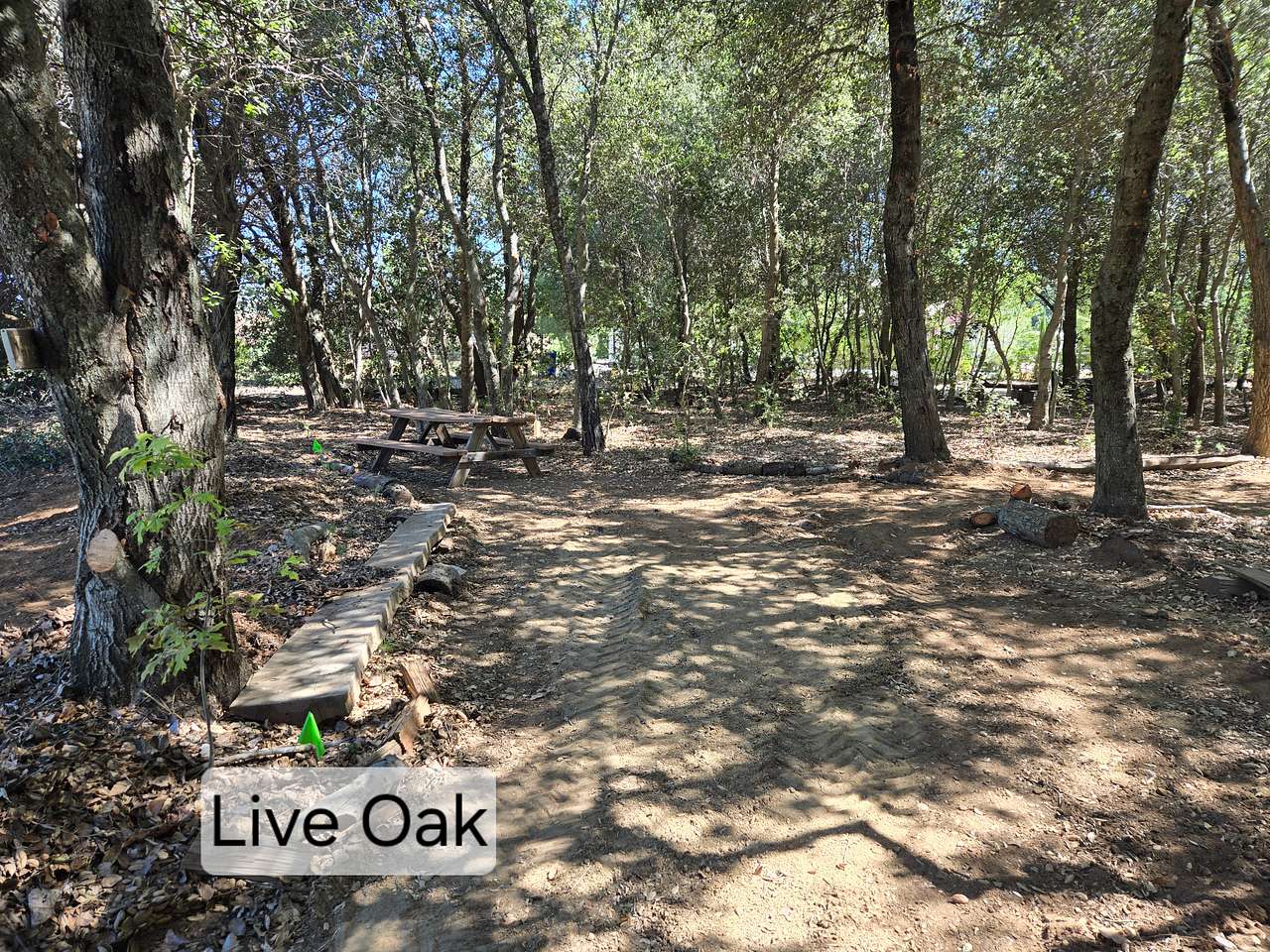 Picture of the site