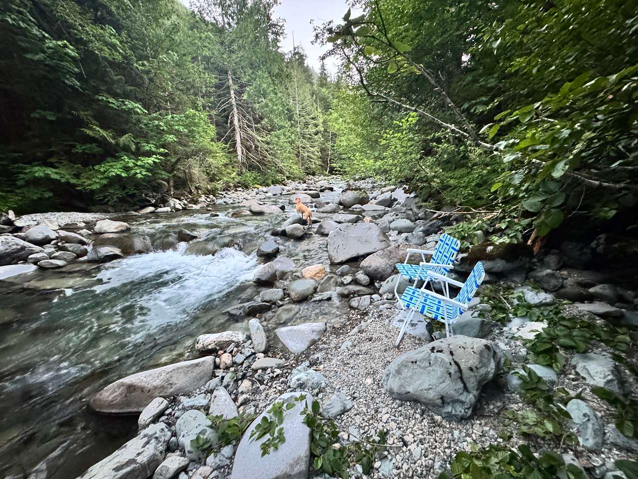 Timber Canyon Ranch @ Money Creek