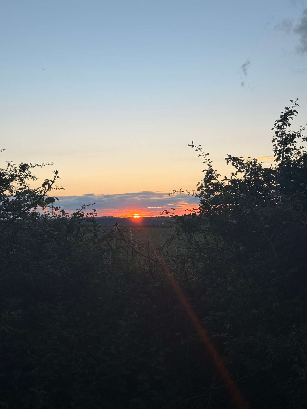 Millview Glamping, Camping & Events
