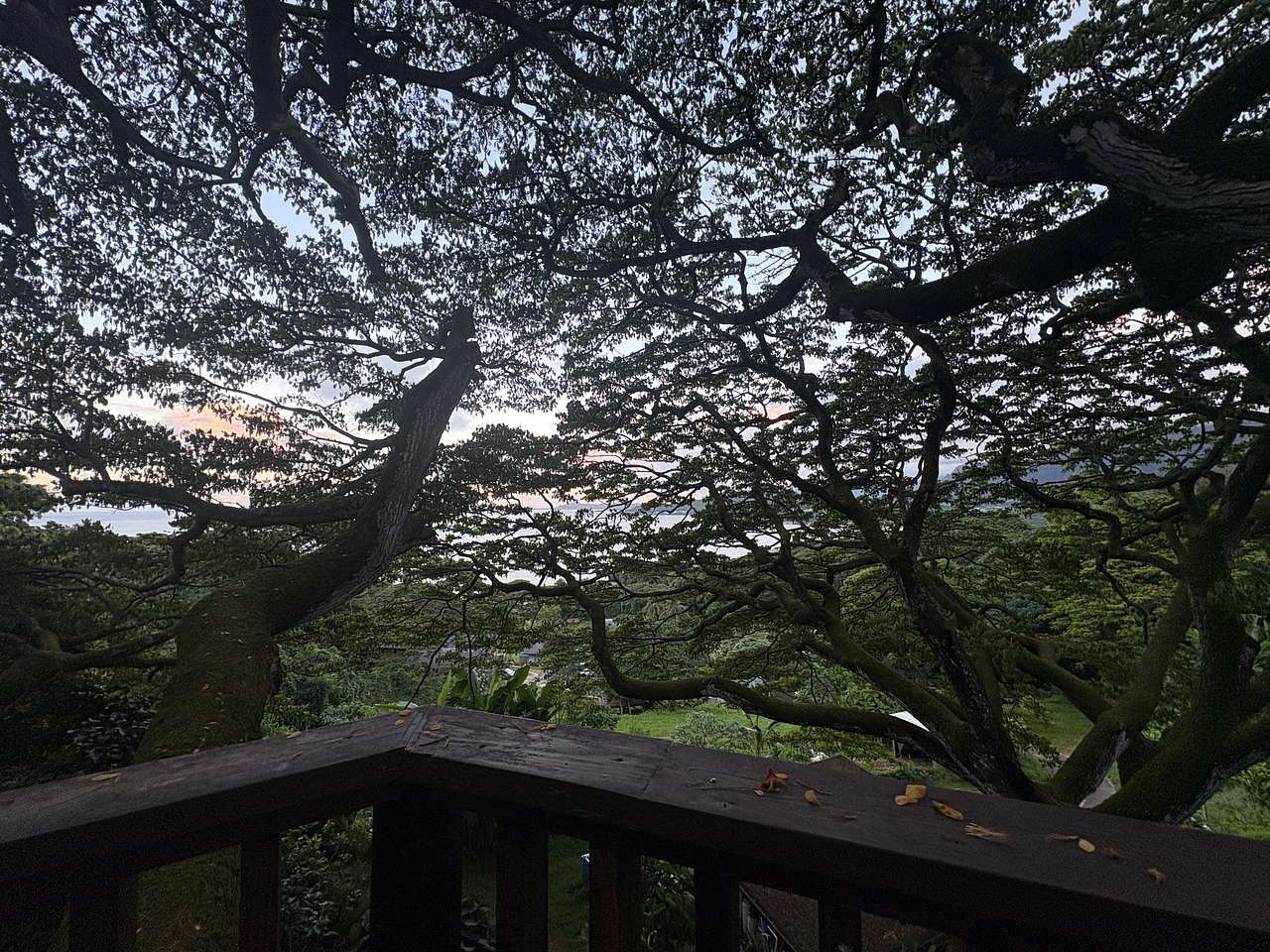 Gorgeous Views-Farm-Jungle-Ocean