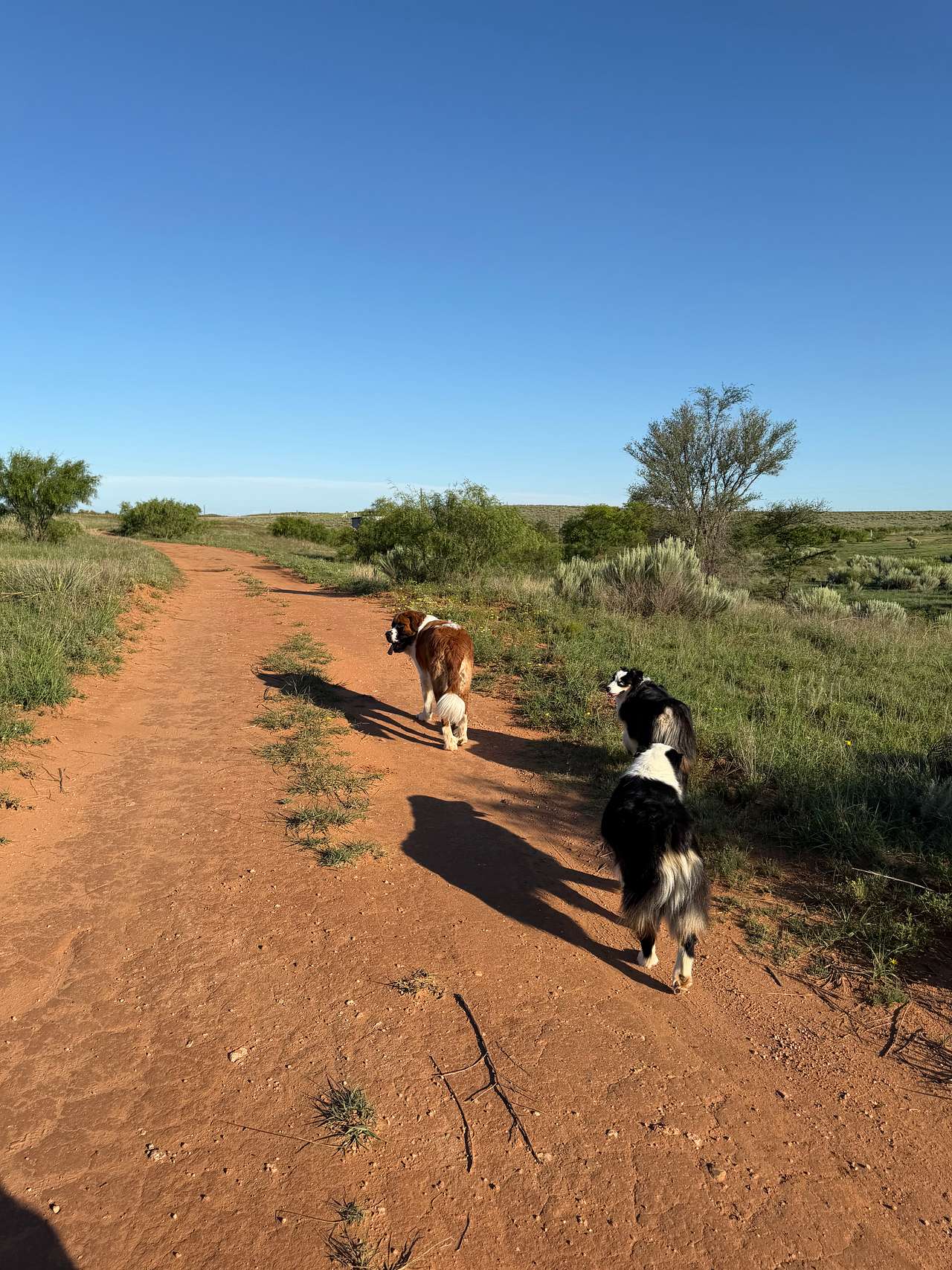 Remote Lone Mound Ranch