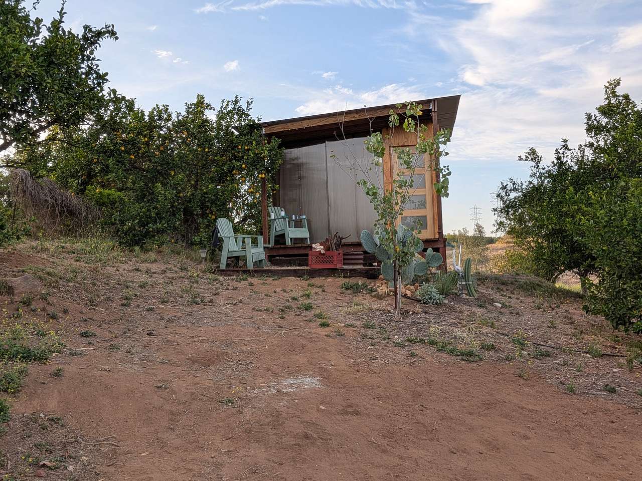Campo Nopalito