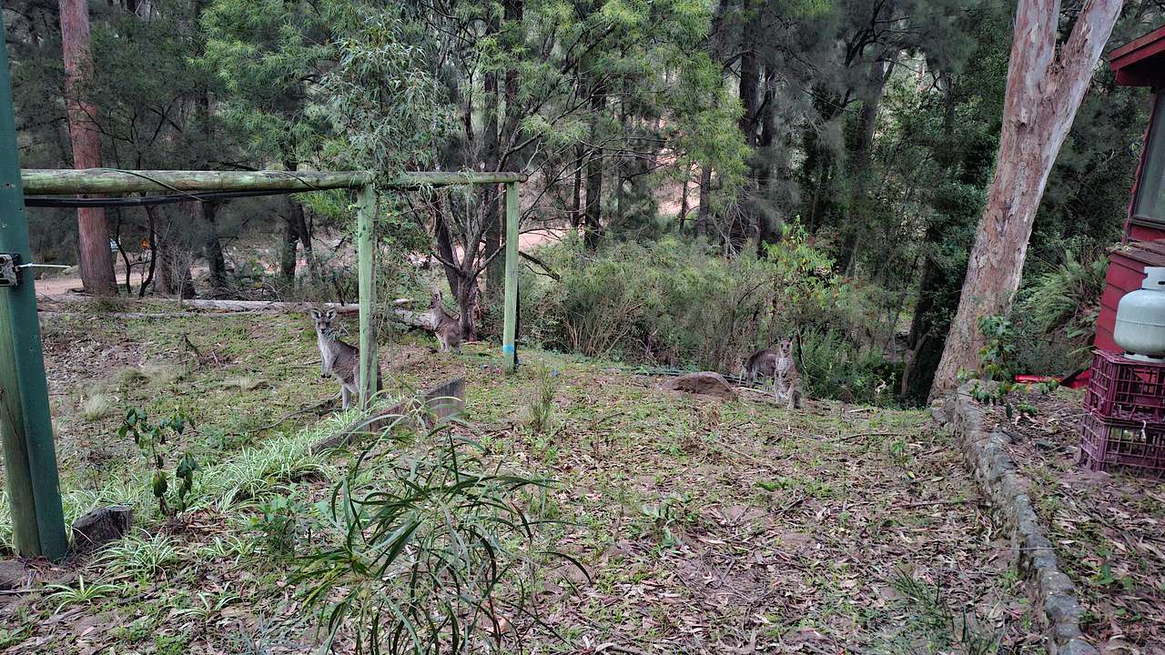 K2 River Island Nature Retreat