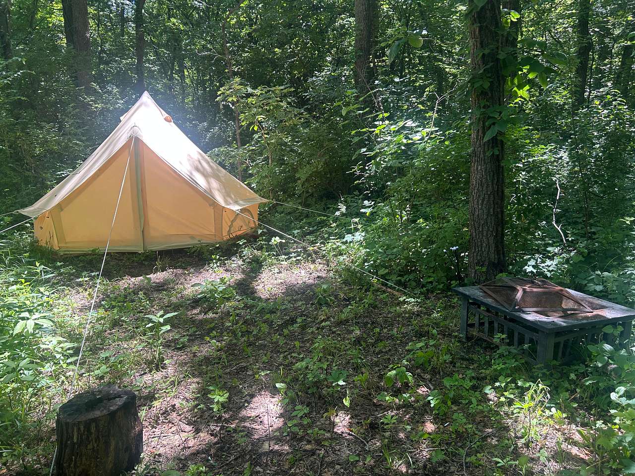Picture of the site