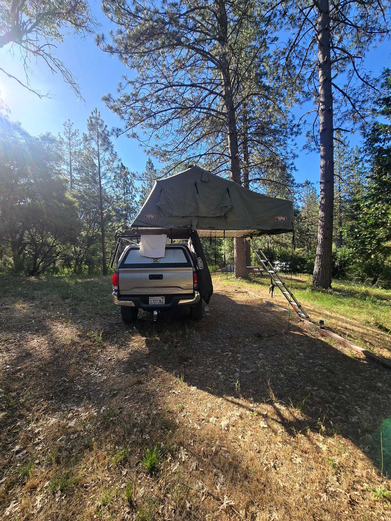 Sierra Waters Homestead