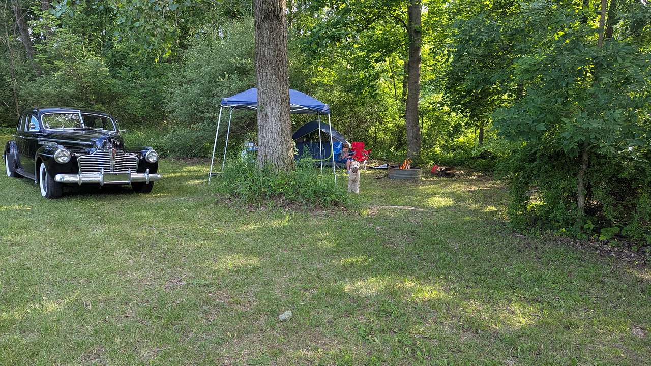 Picture of the site