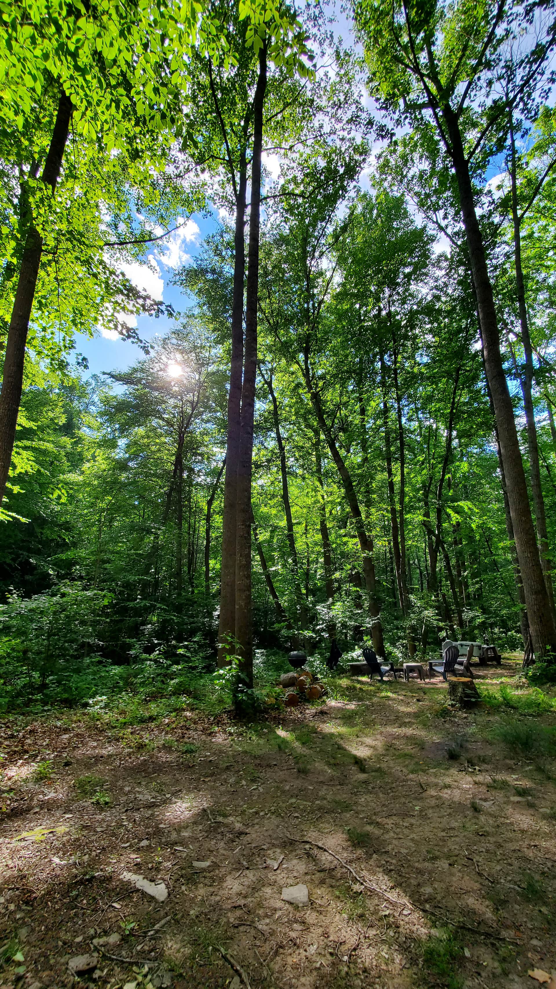 Bear Creek Clothing Optional Camp