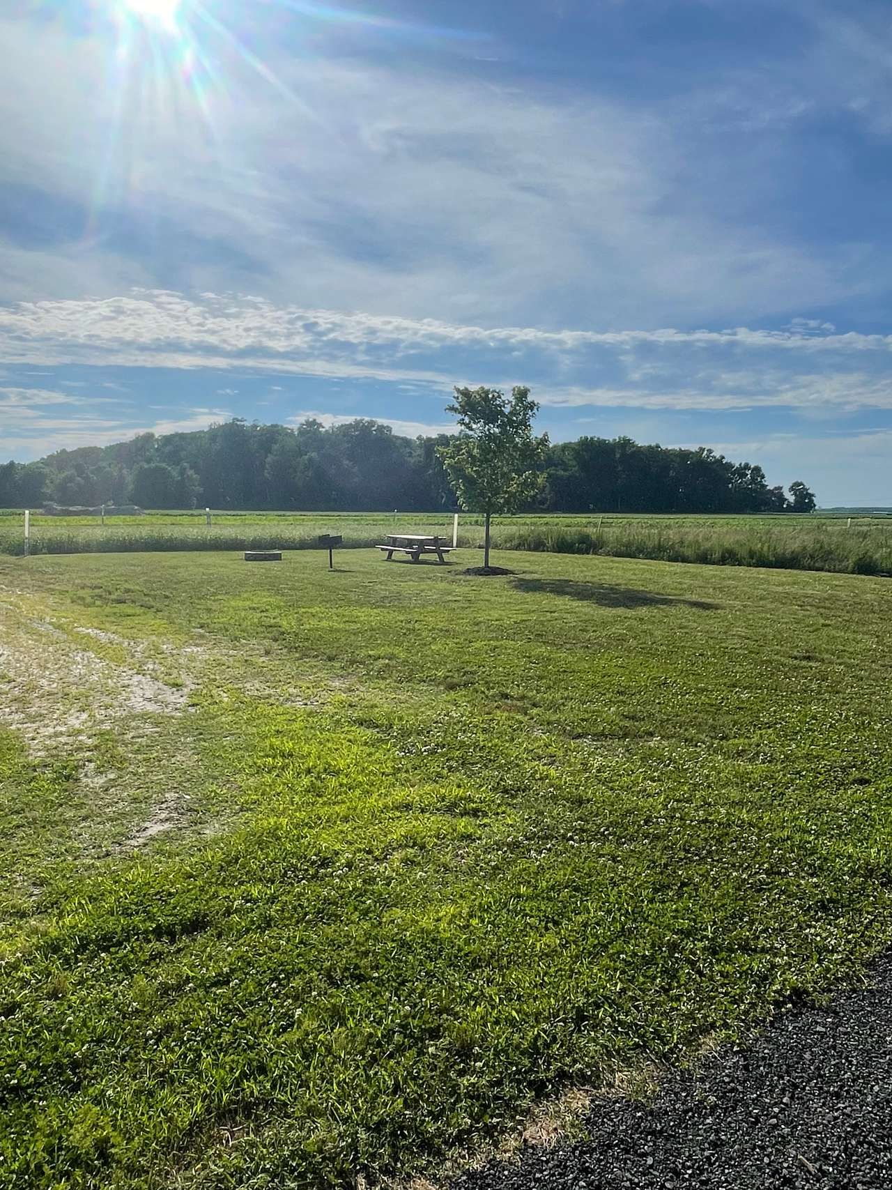 Picture of the site