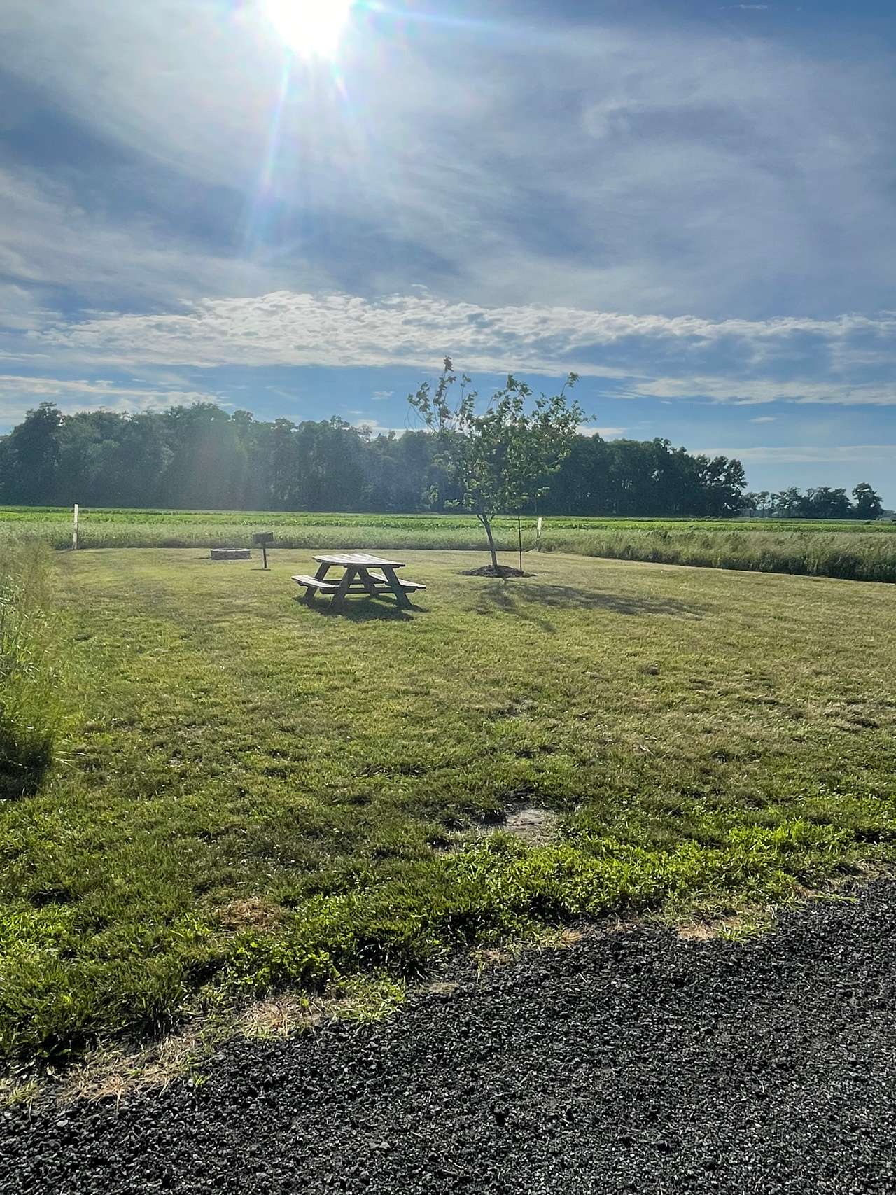 Kingsley Orchards, LLC