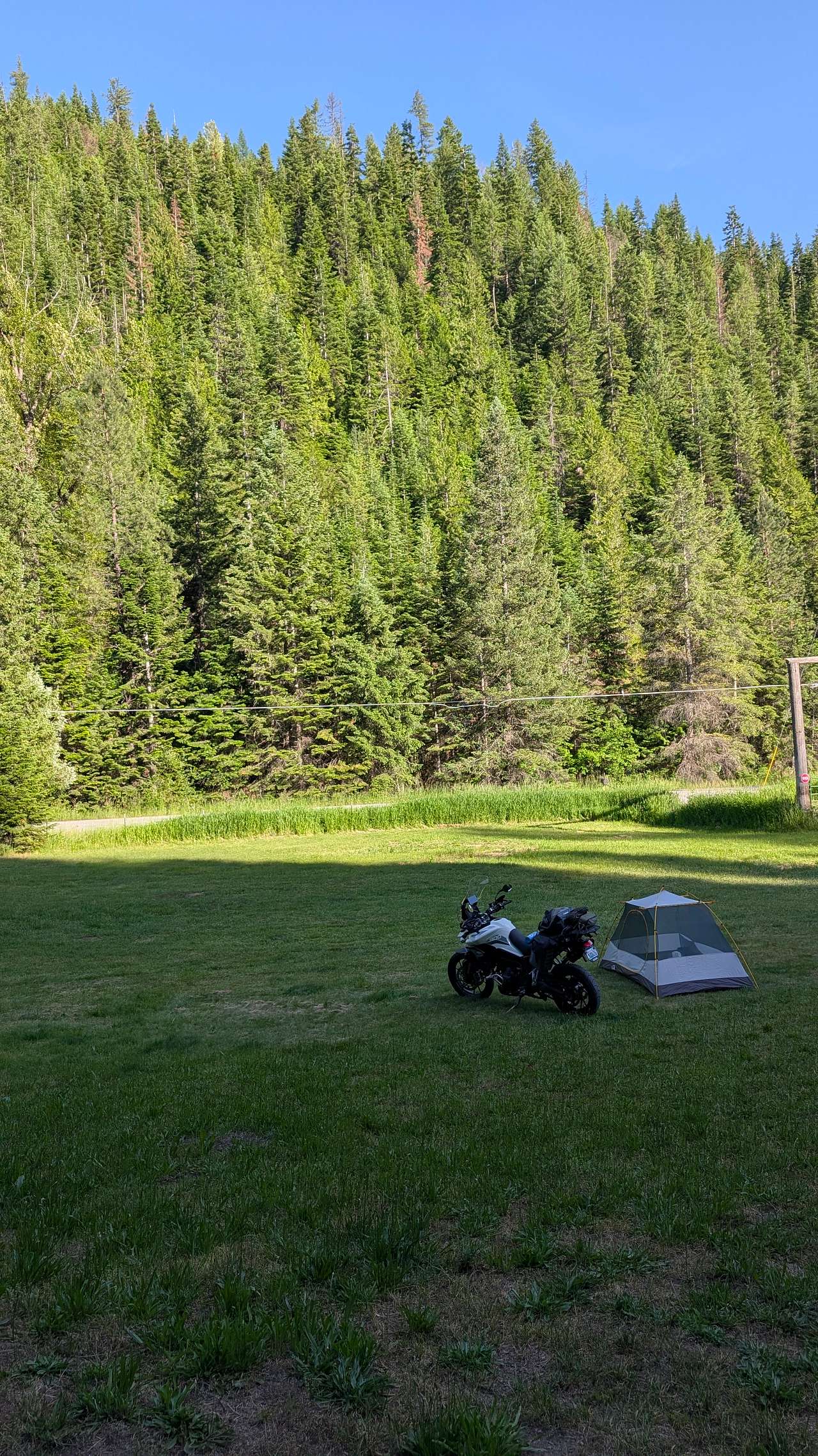 Picture of the site