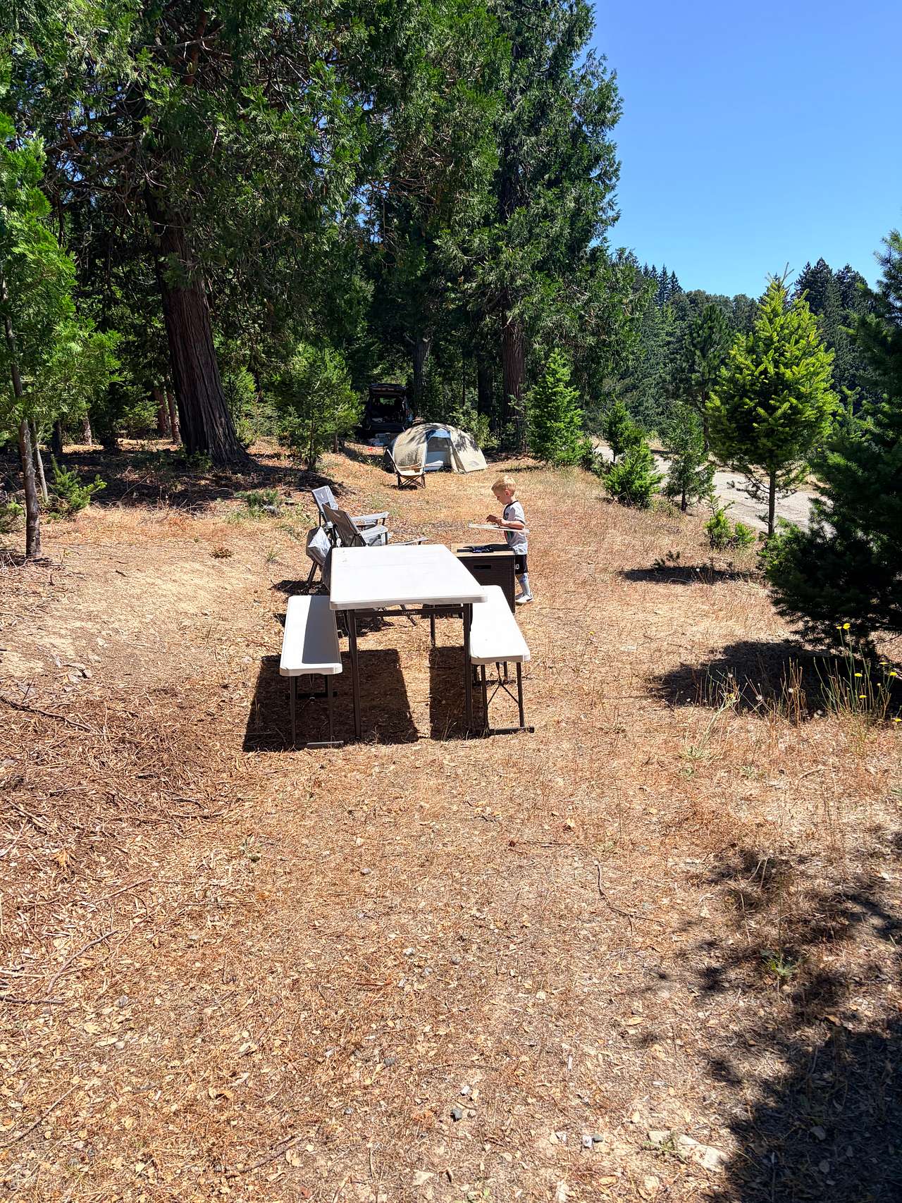 Picture of the site