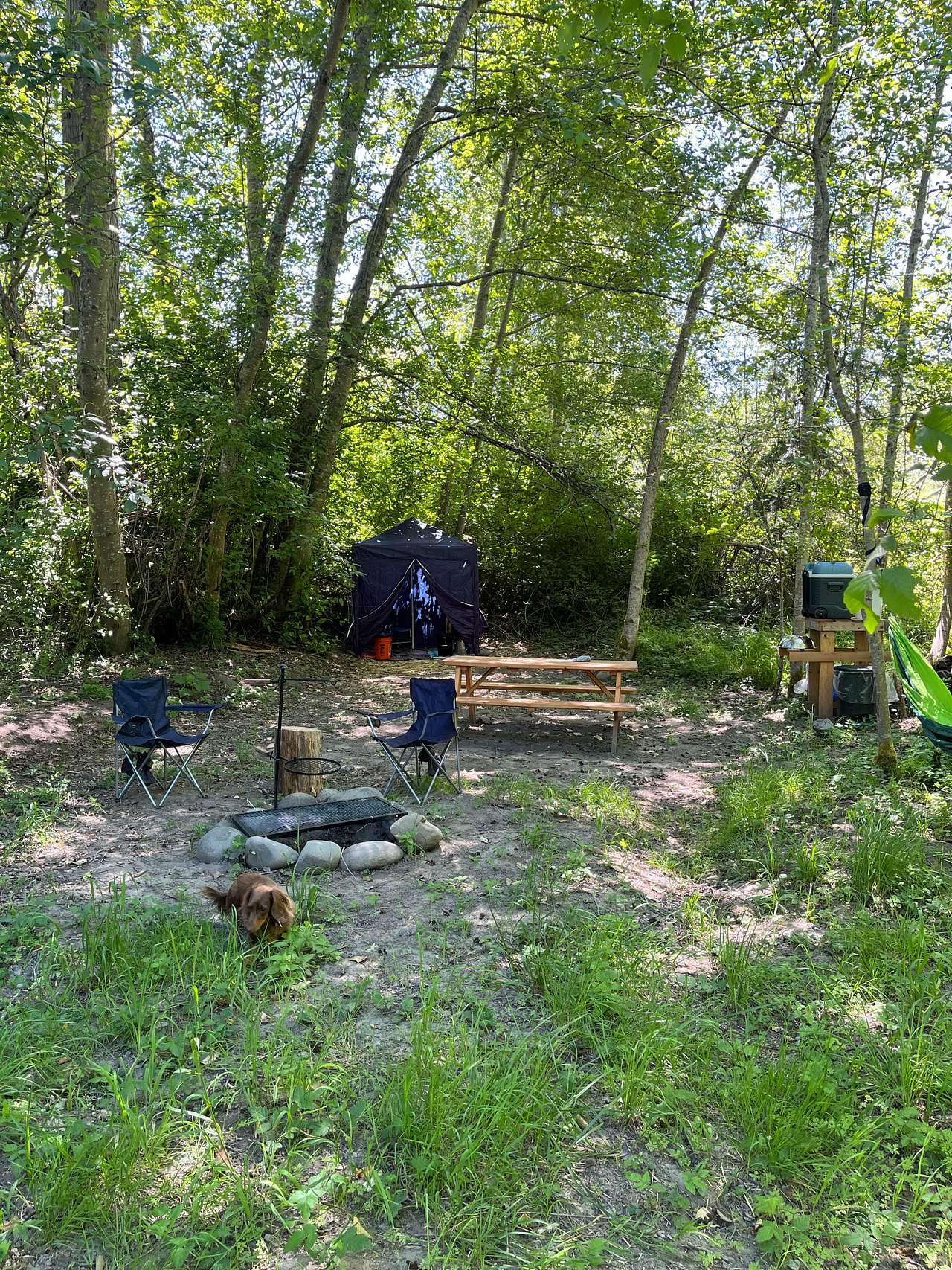 Picture of the site