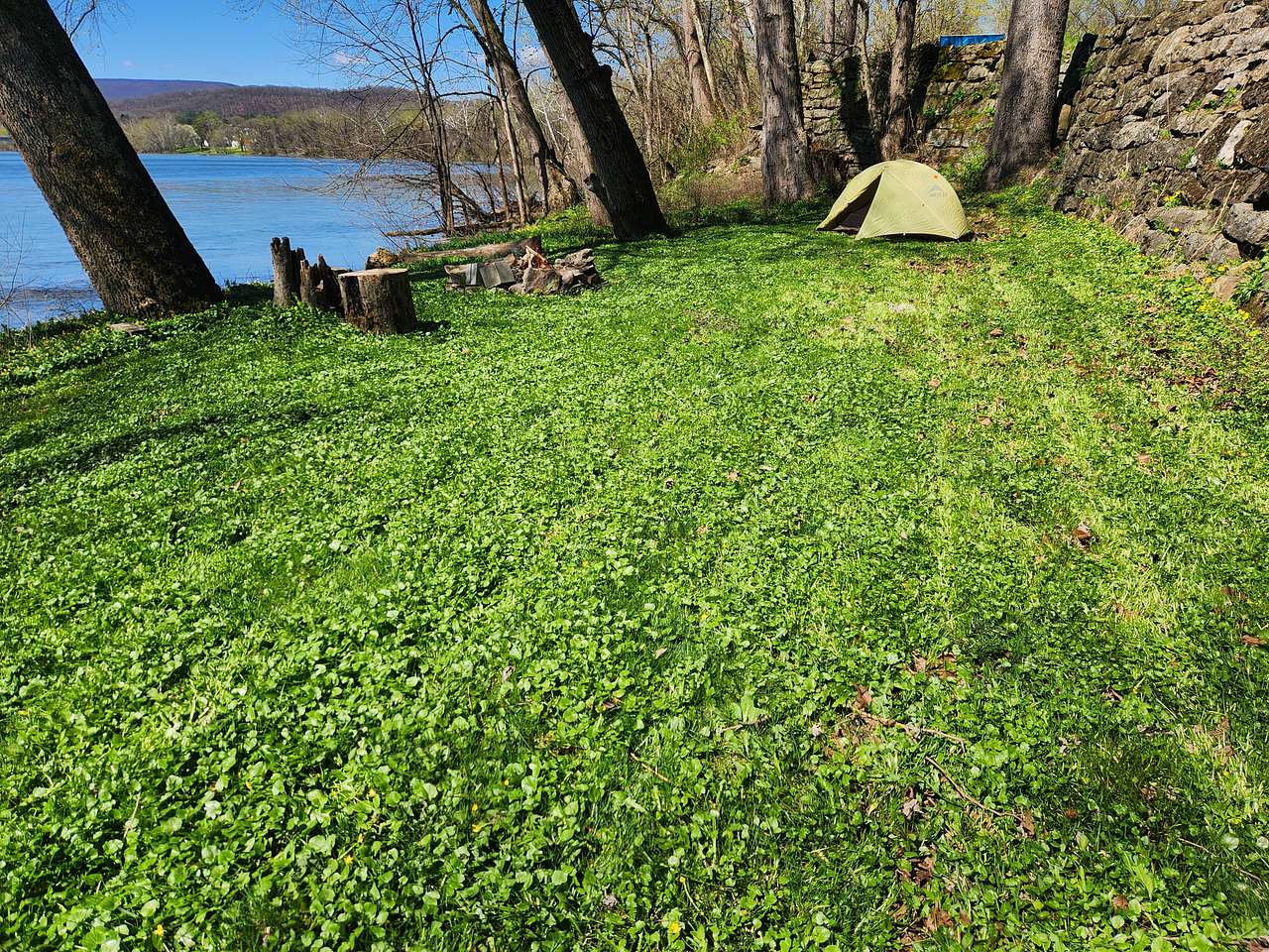 Juniata River Bank Campsite