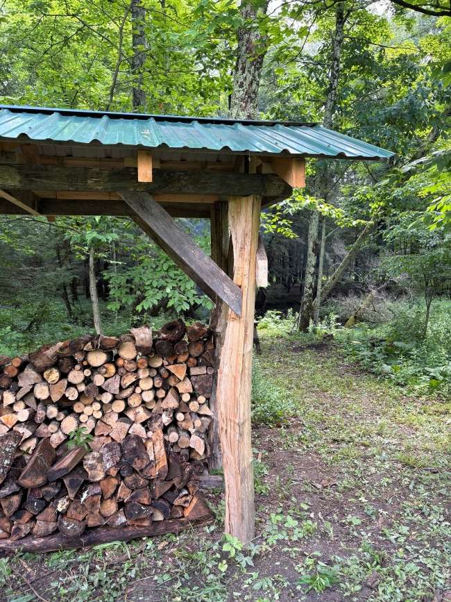 Plenty of dry firewood!