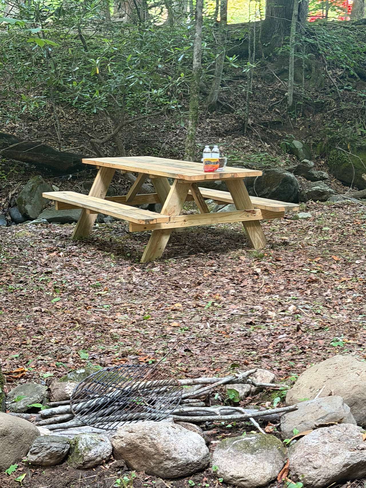 Picture of the site