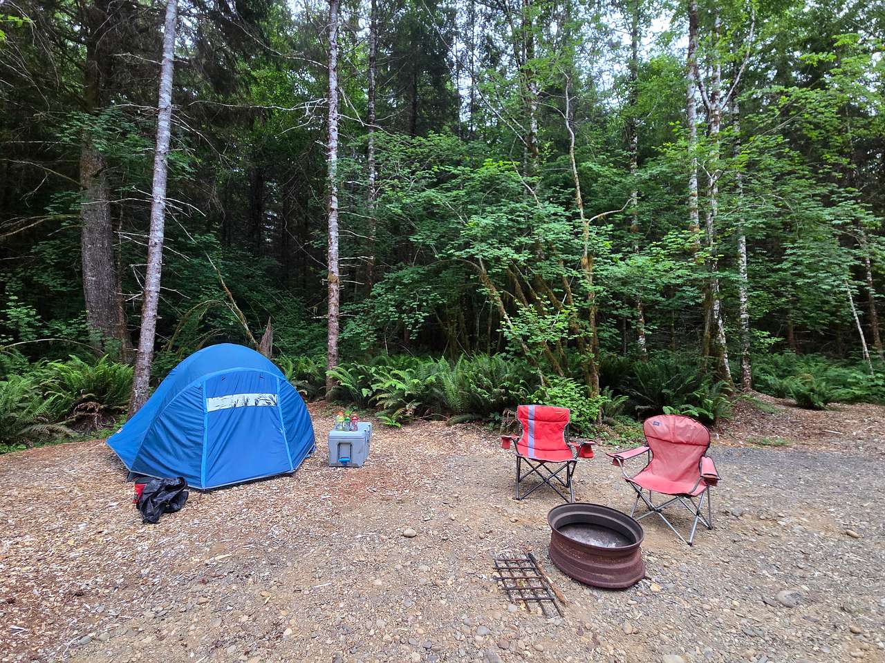 Picture of the site