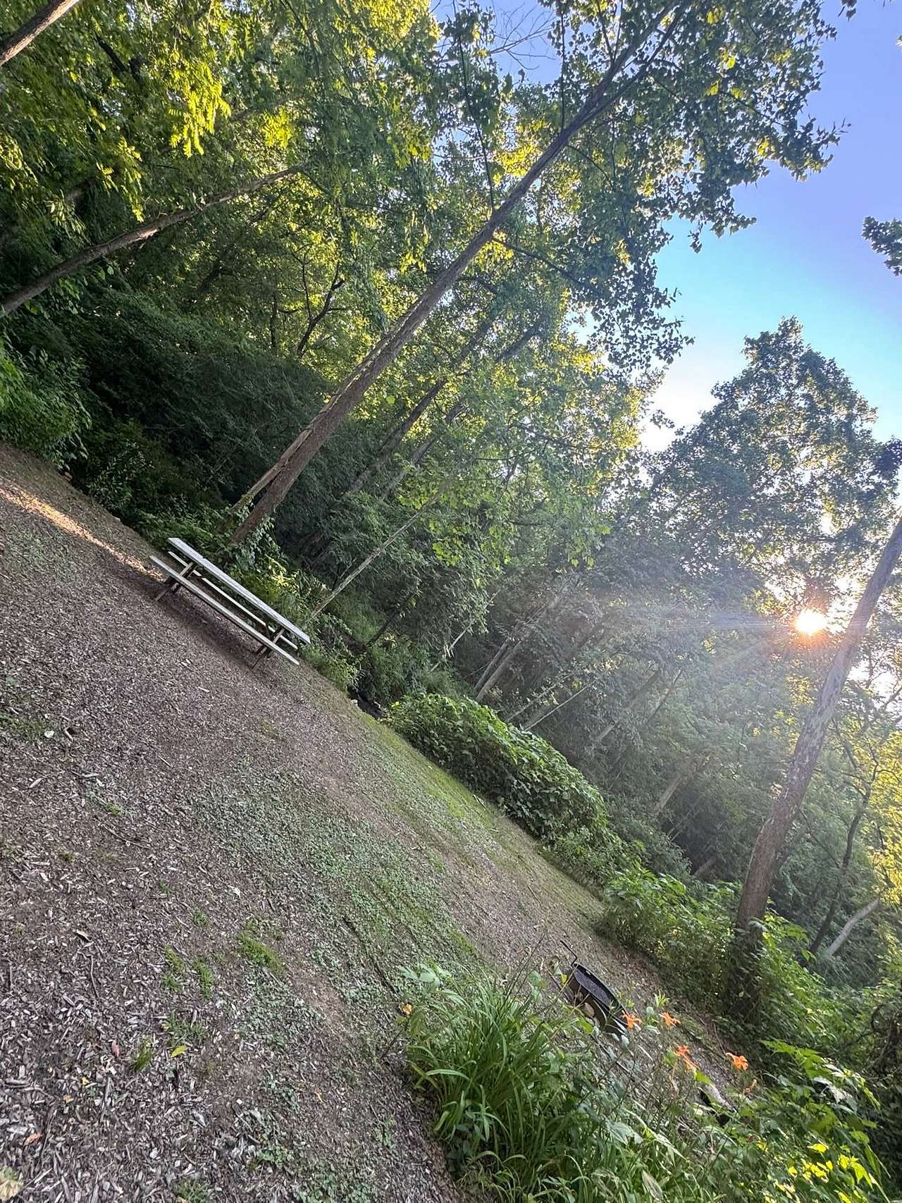 Picture of the site