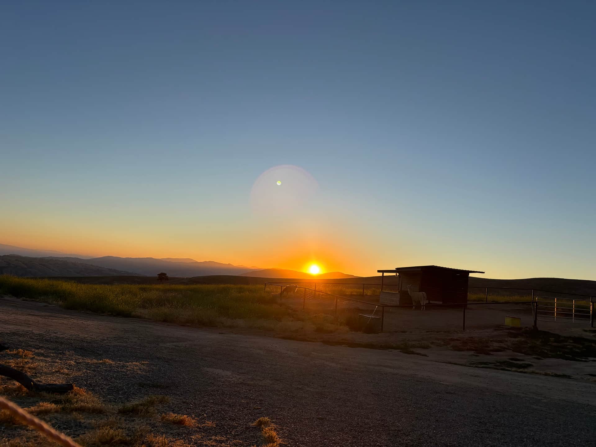 Lone Juniper Ranch
