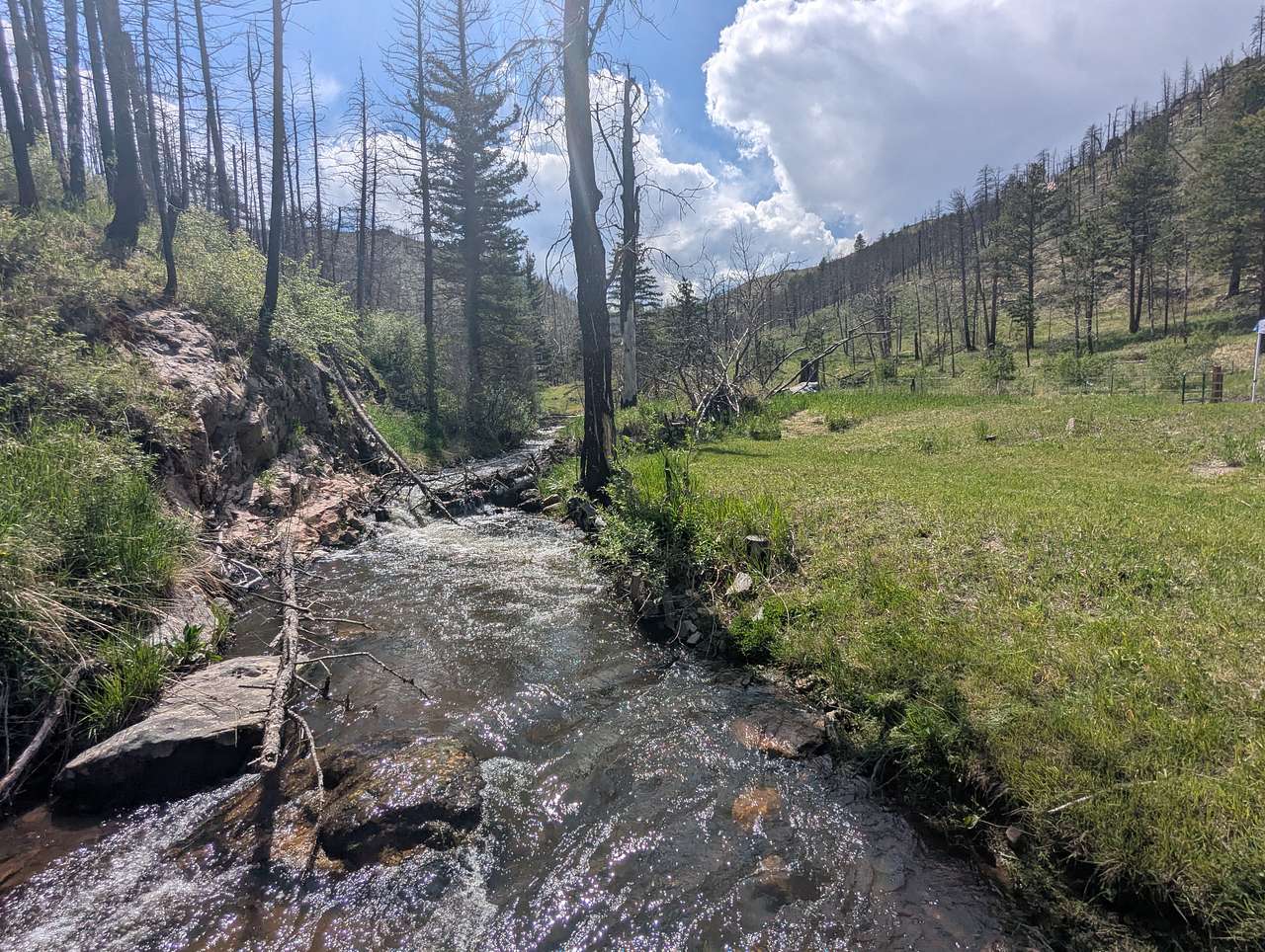Buckhorn Creek Sites