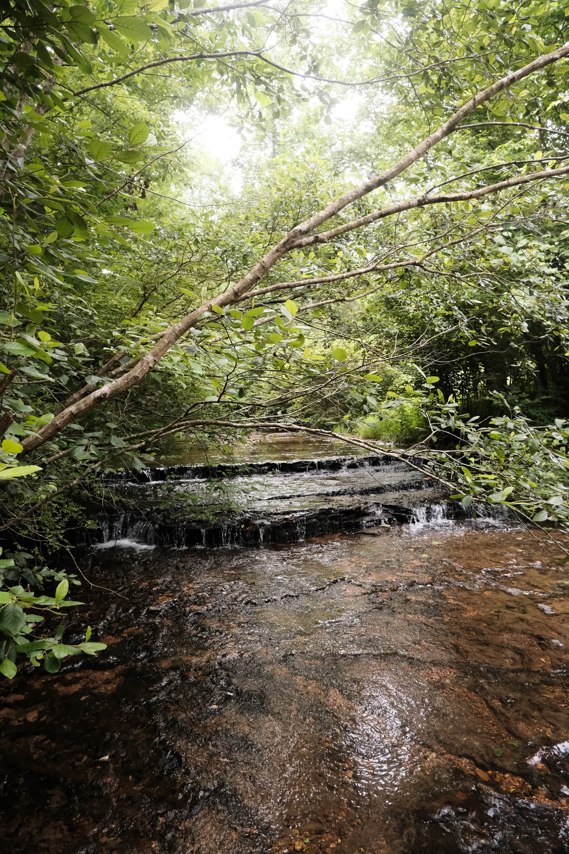 Creek