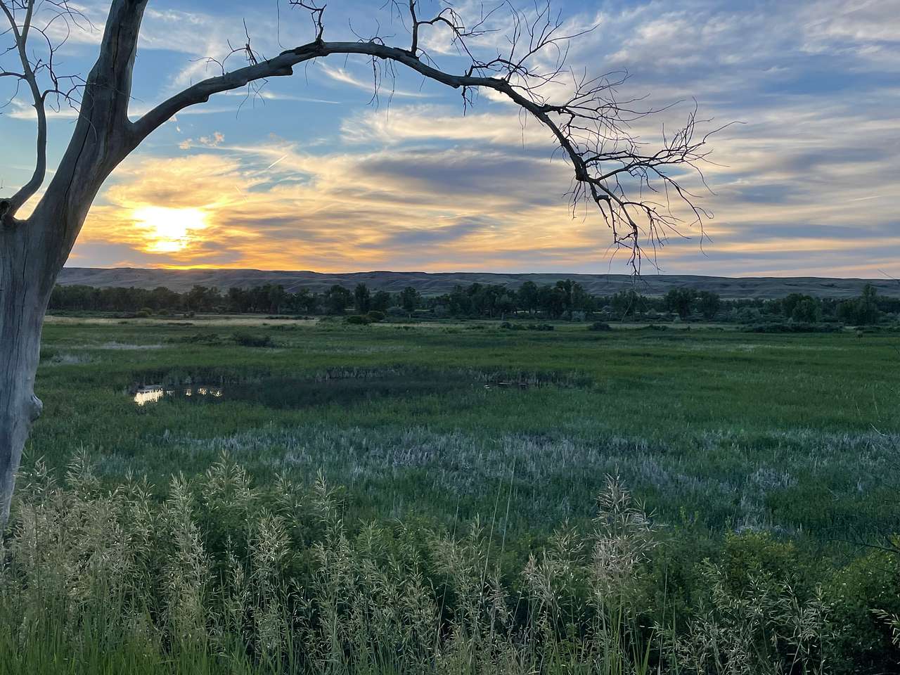 Big Horn Valley