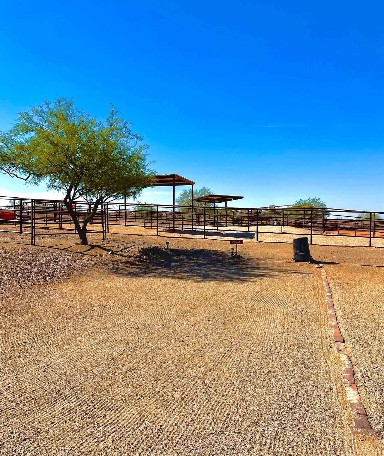 Mesquite Site. (Gets some morning shade)
