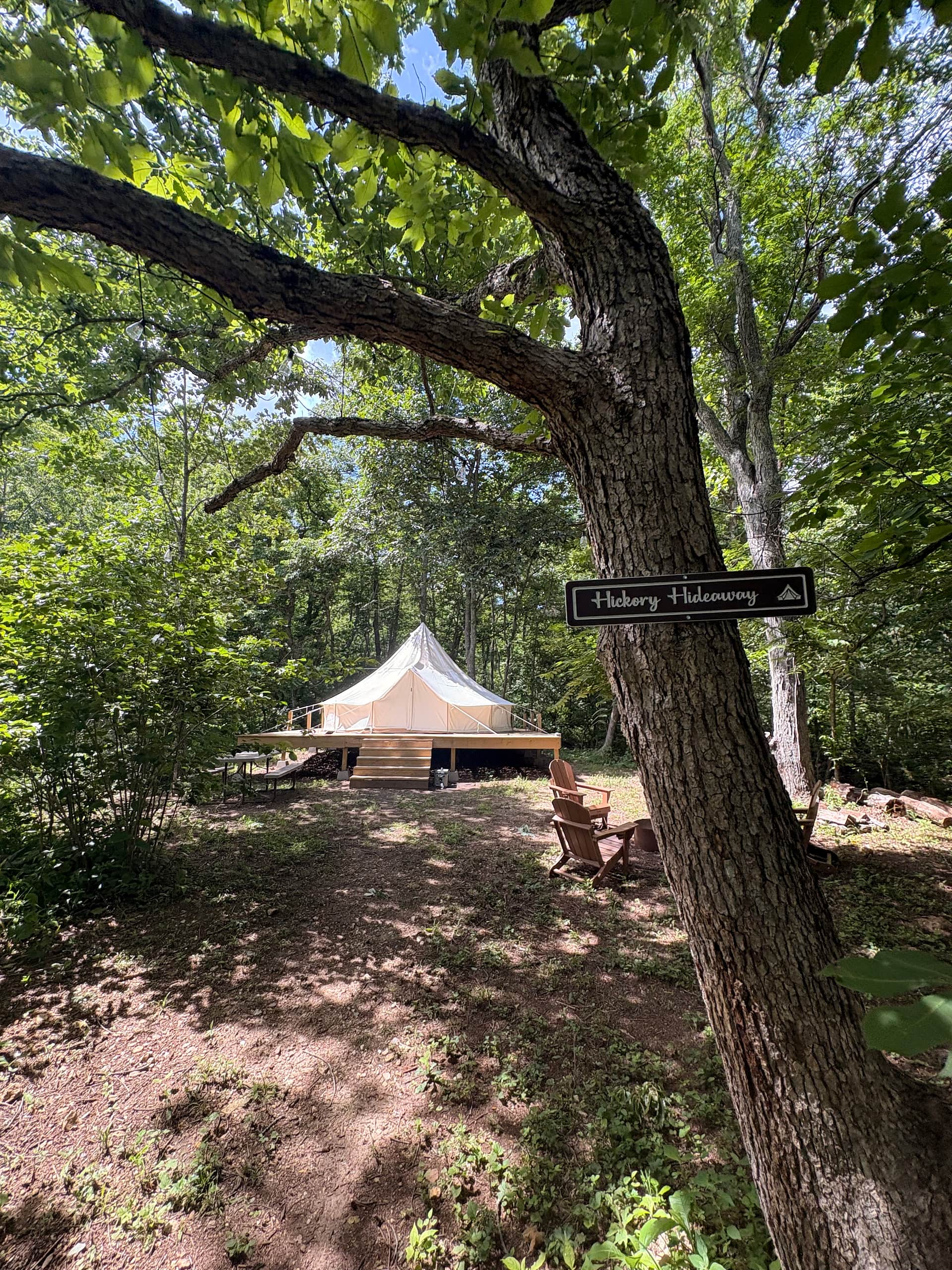 Picture of the site