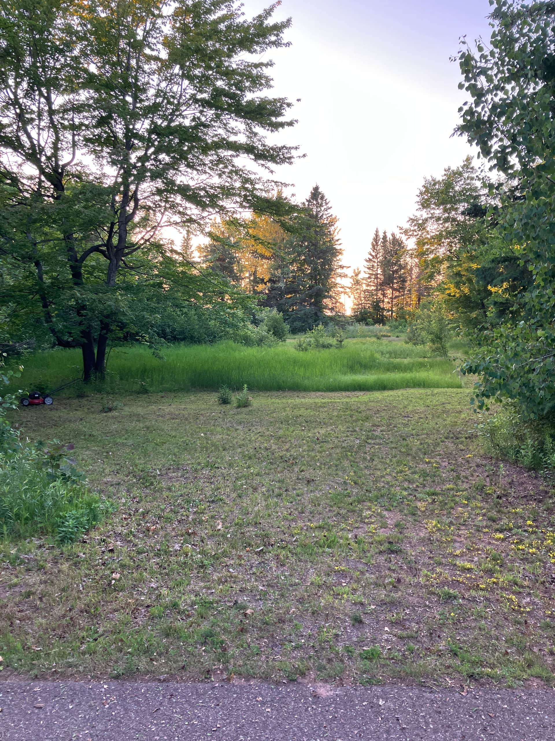 Picture of the site