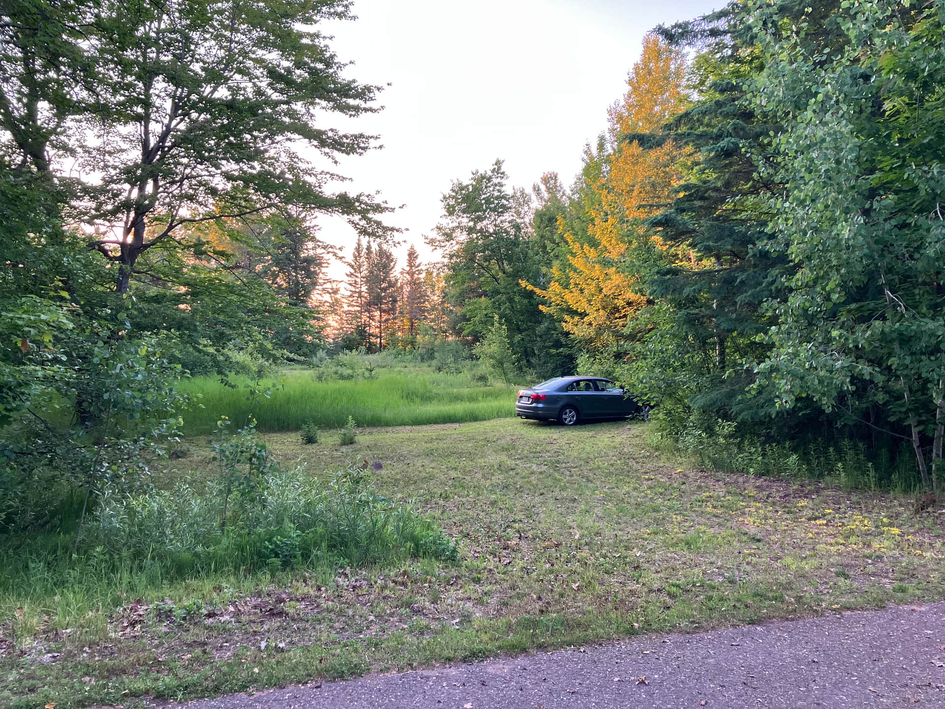 Picture of the site