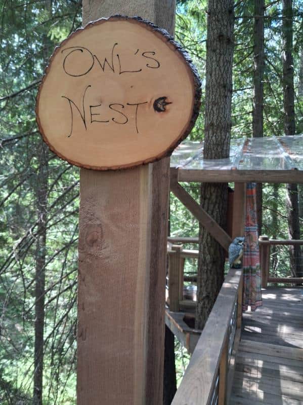Wee Place in the Woods