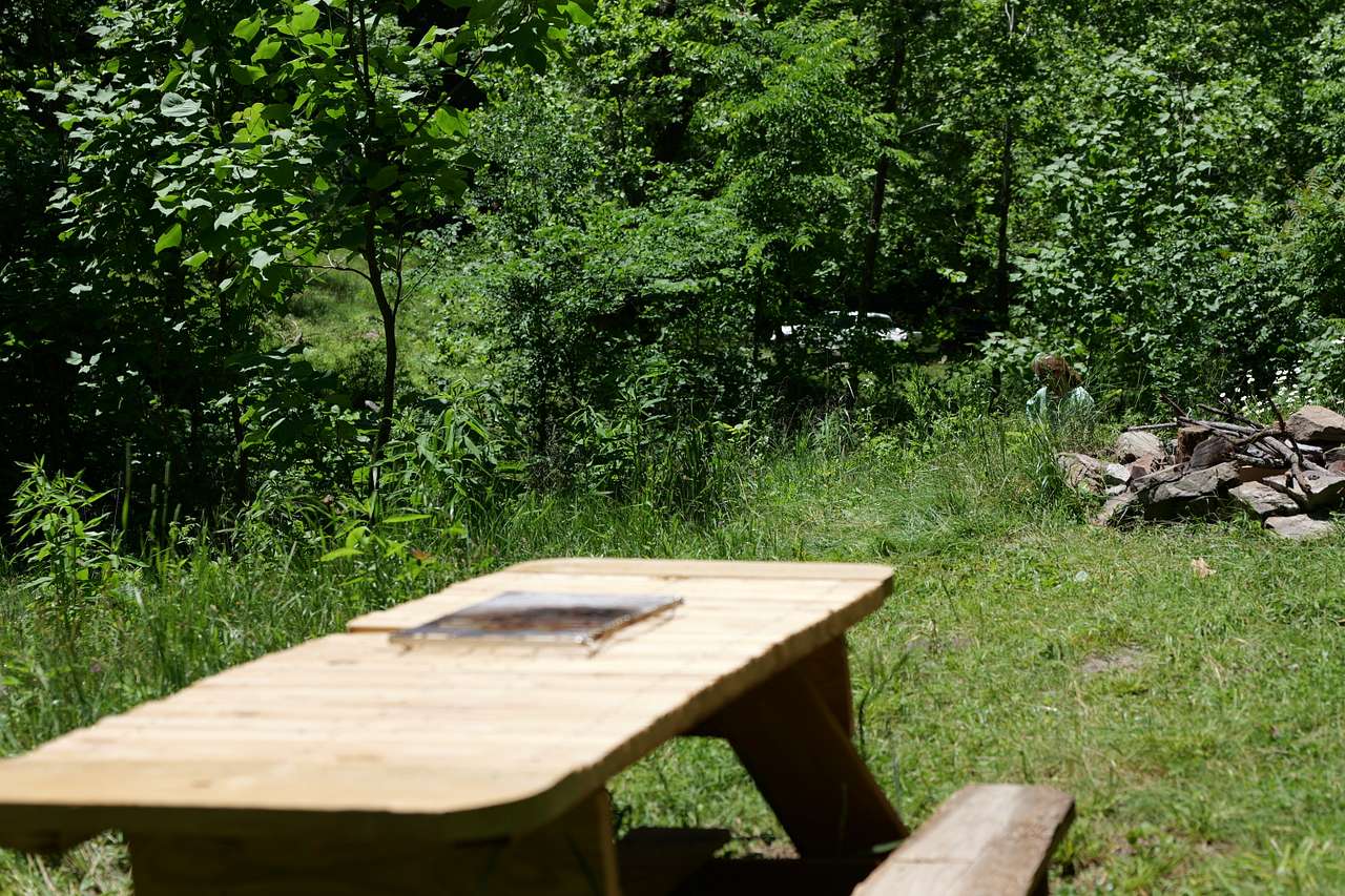 Picture of the site