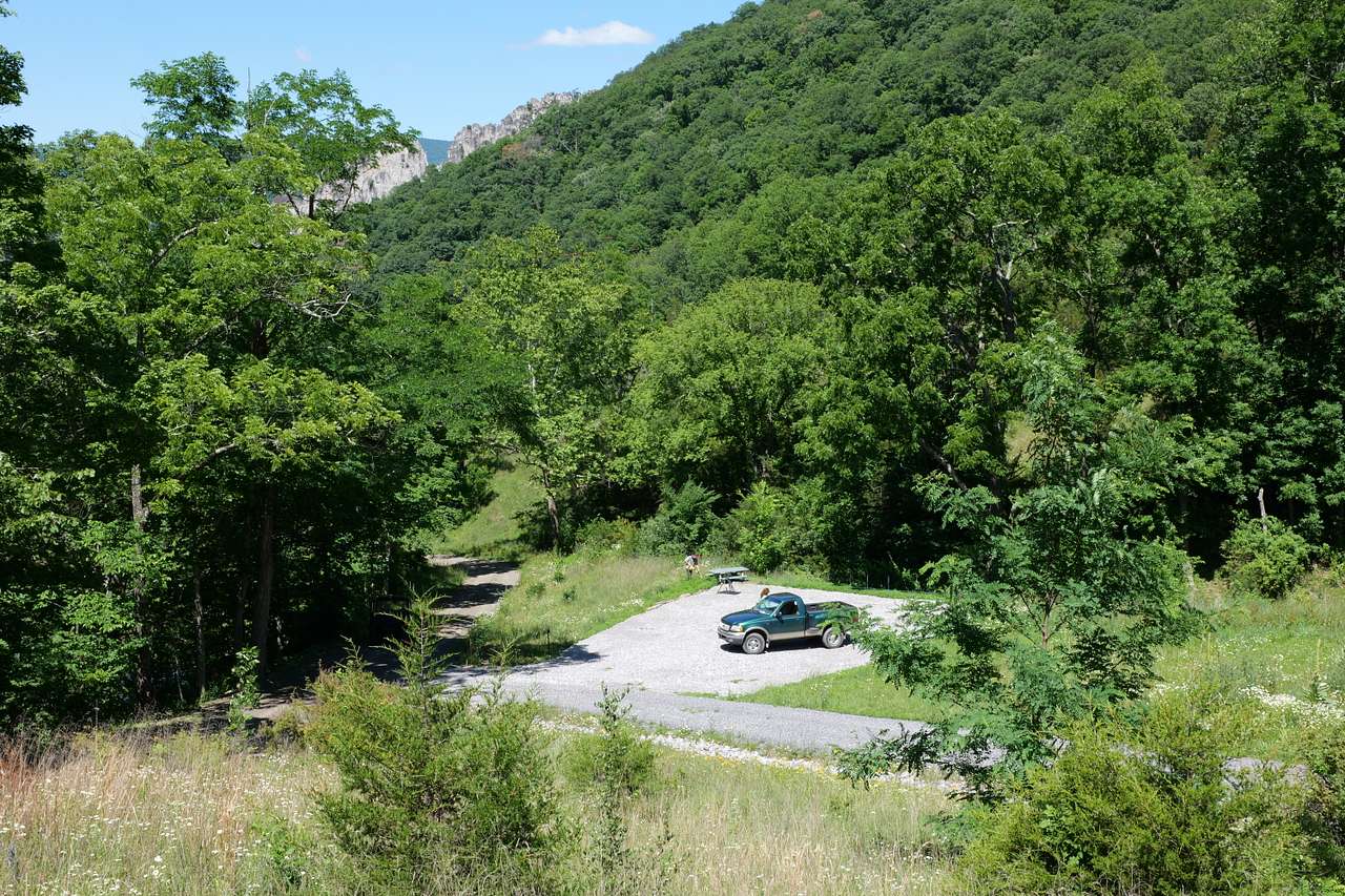 Picture of the site