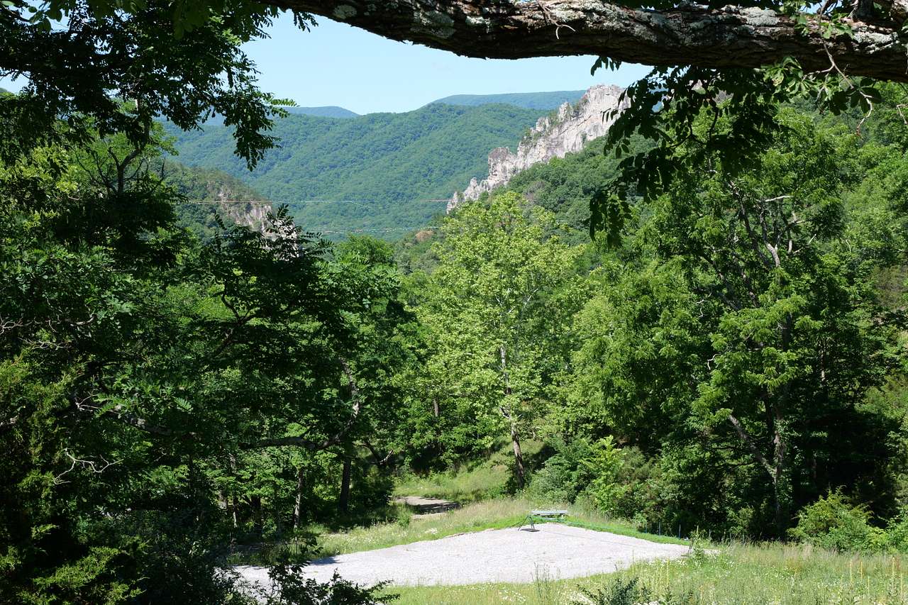 Picture of the site