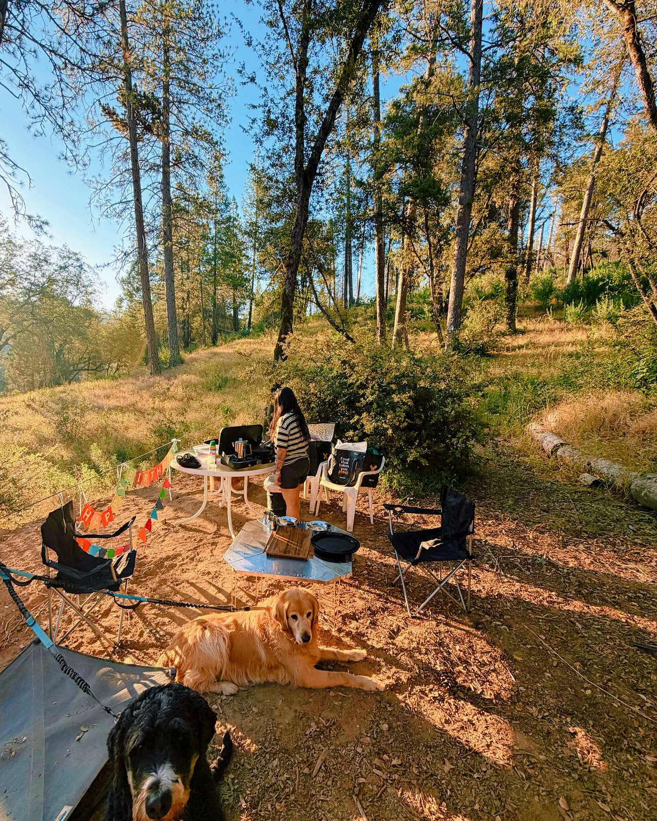 Our simple setup