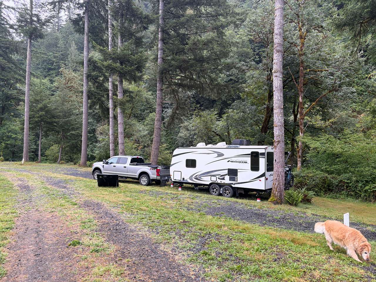 Picture of the site