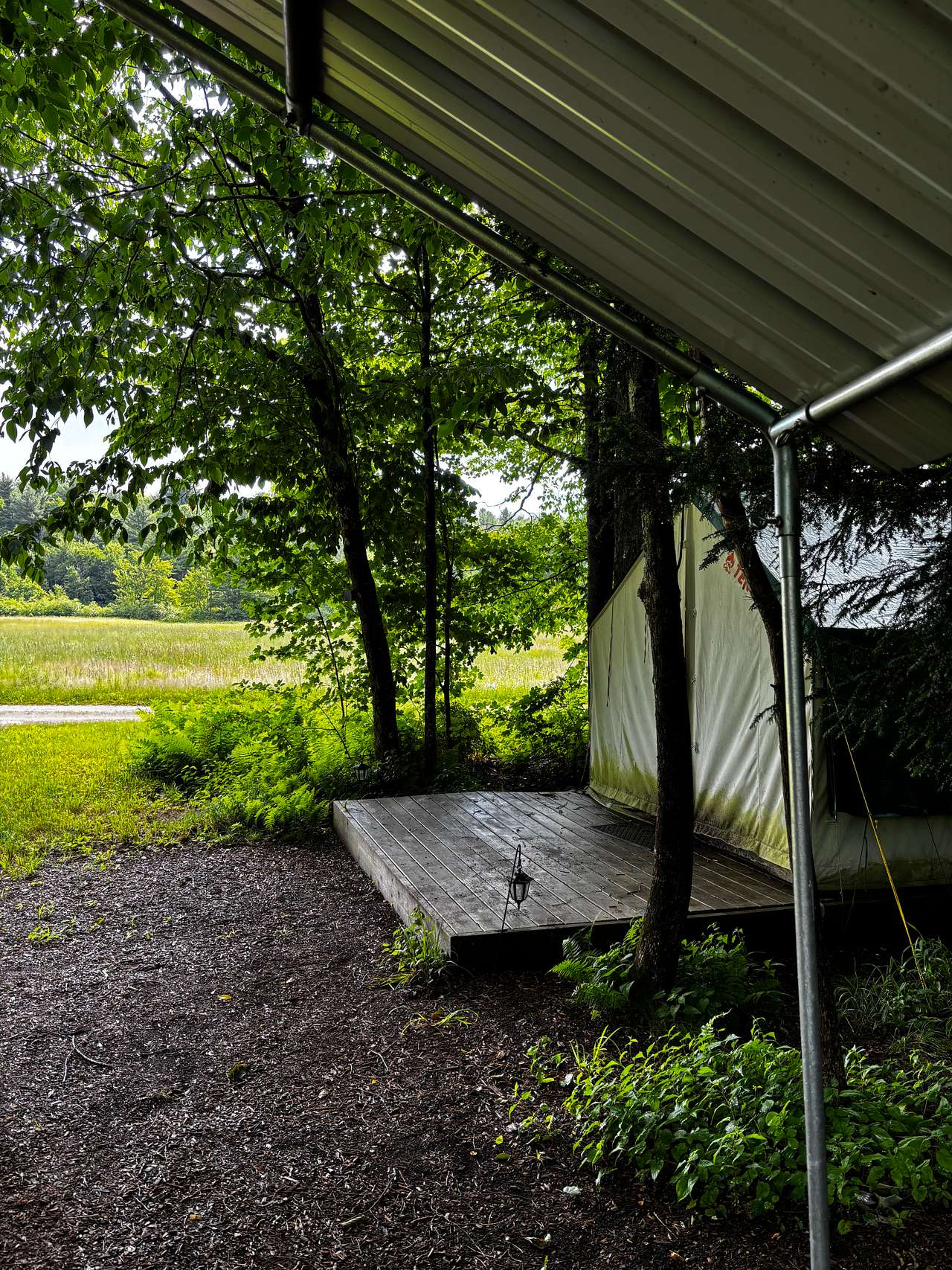 Maple Corner Farm