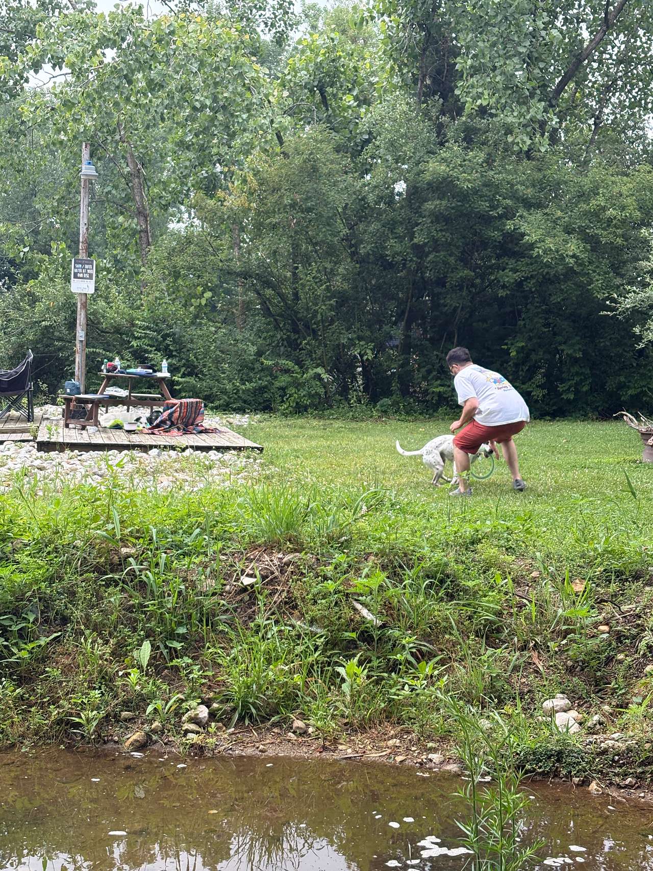 Picture of the site
