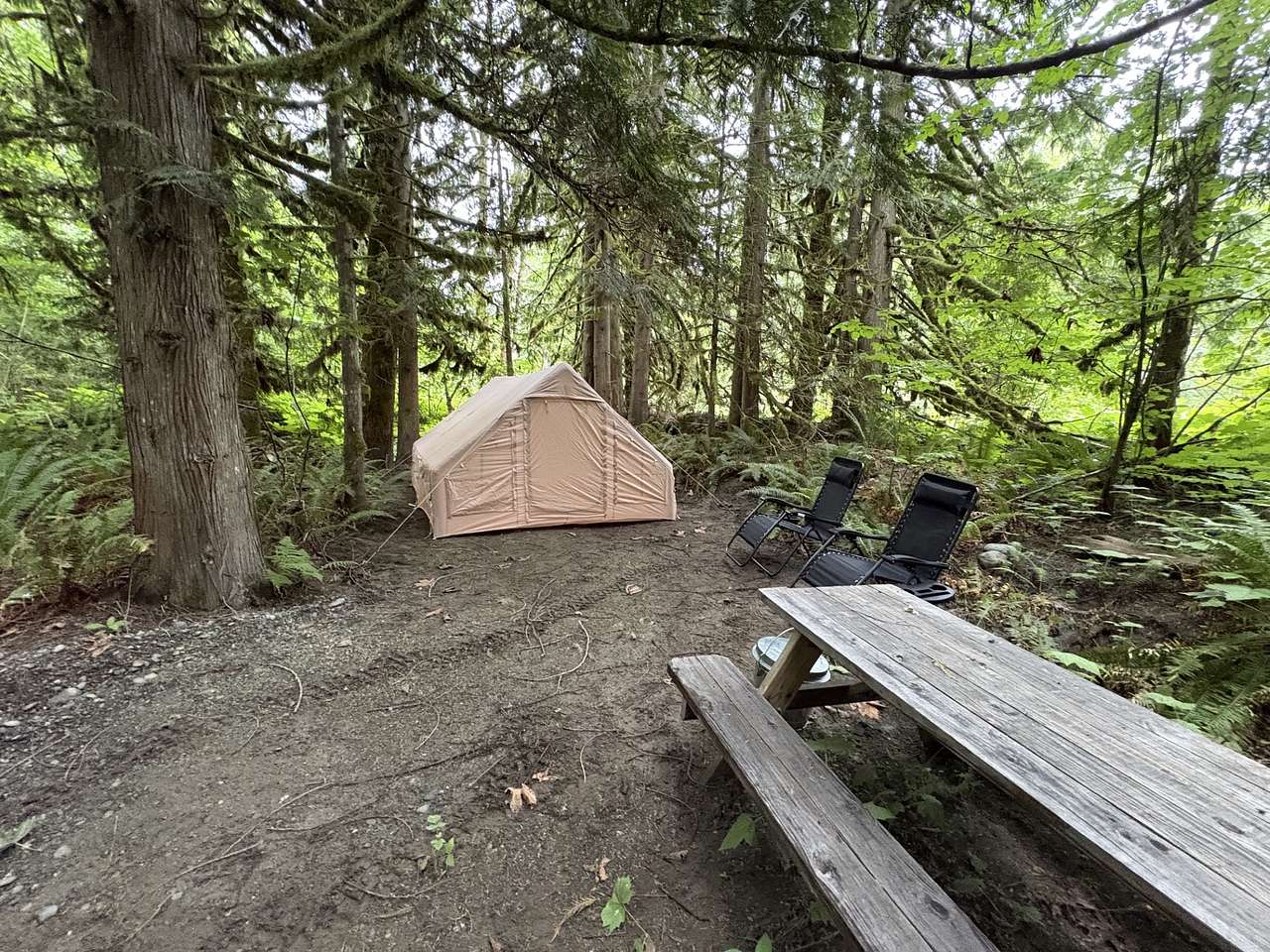Picture of the site