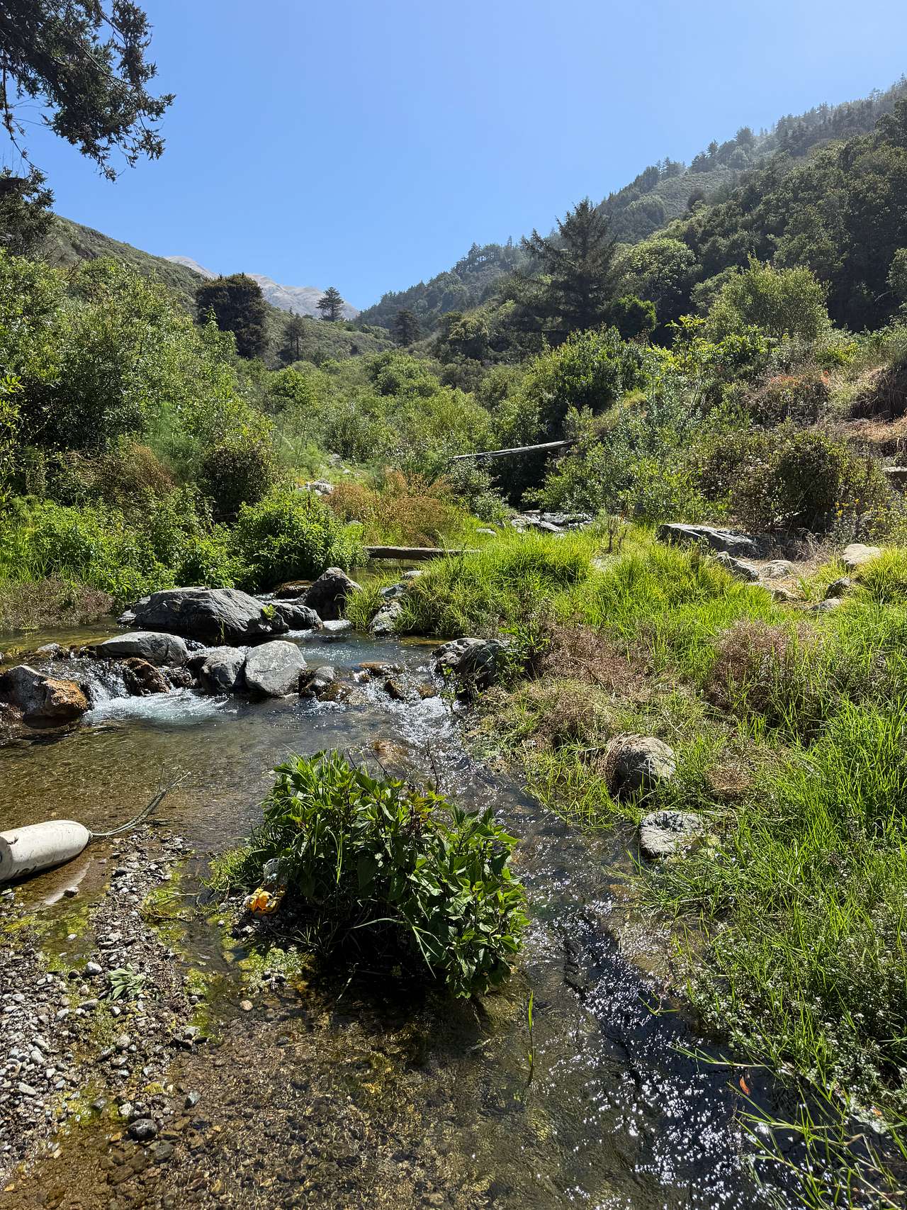 dabudage Big Sur