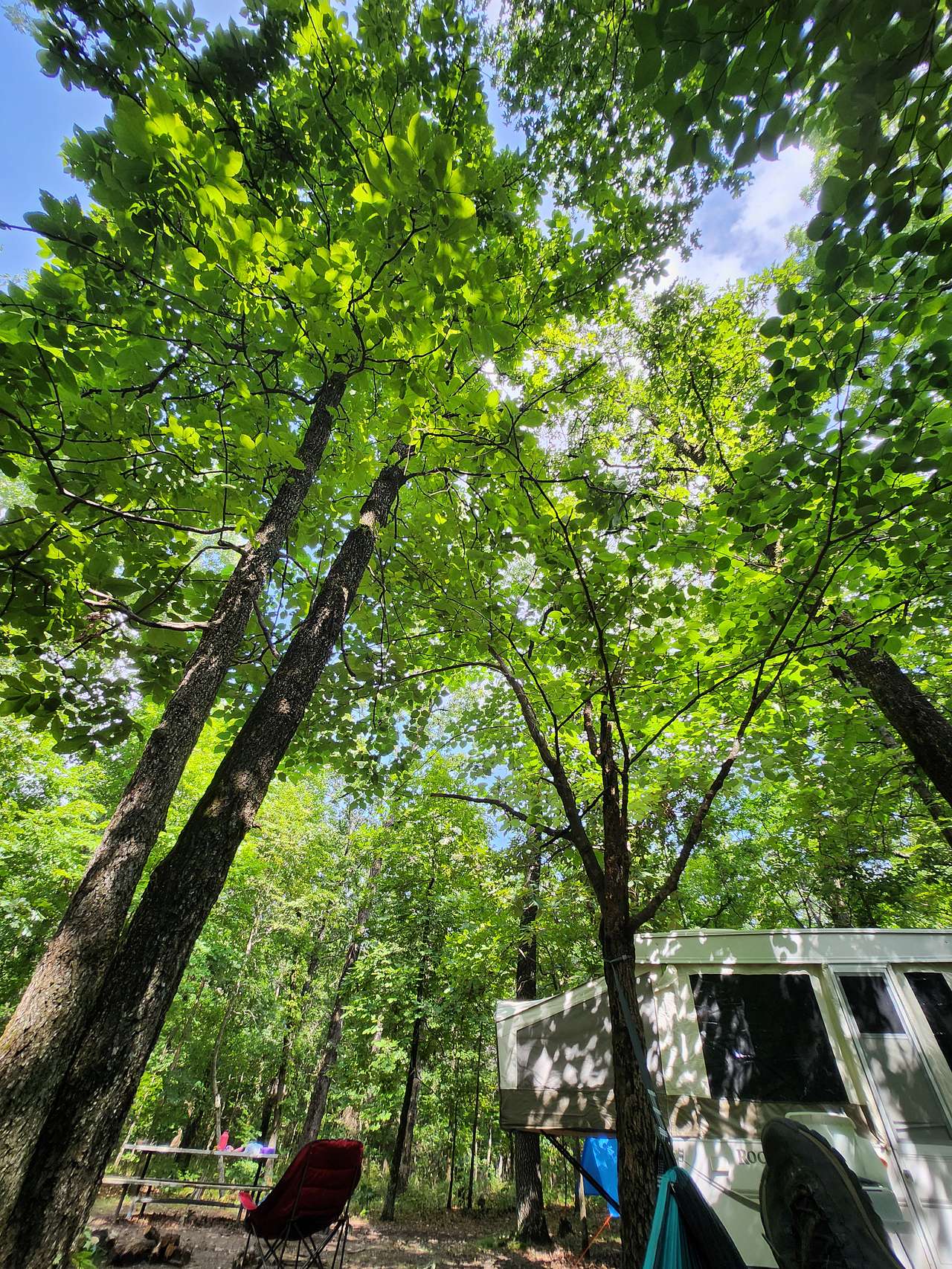 Lake Frances Campsites