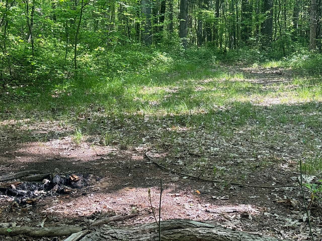 Sacred Sound Center: Campground