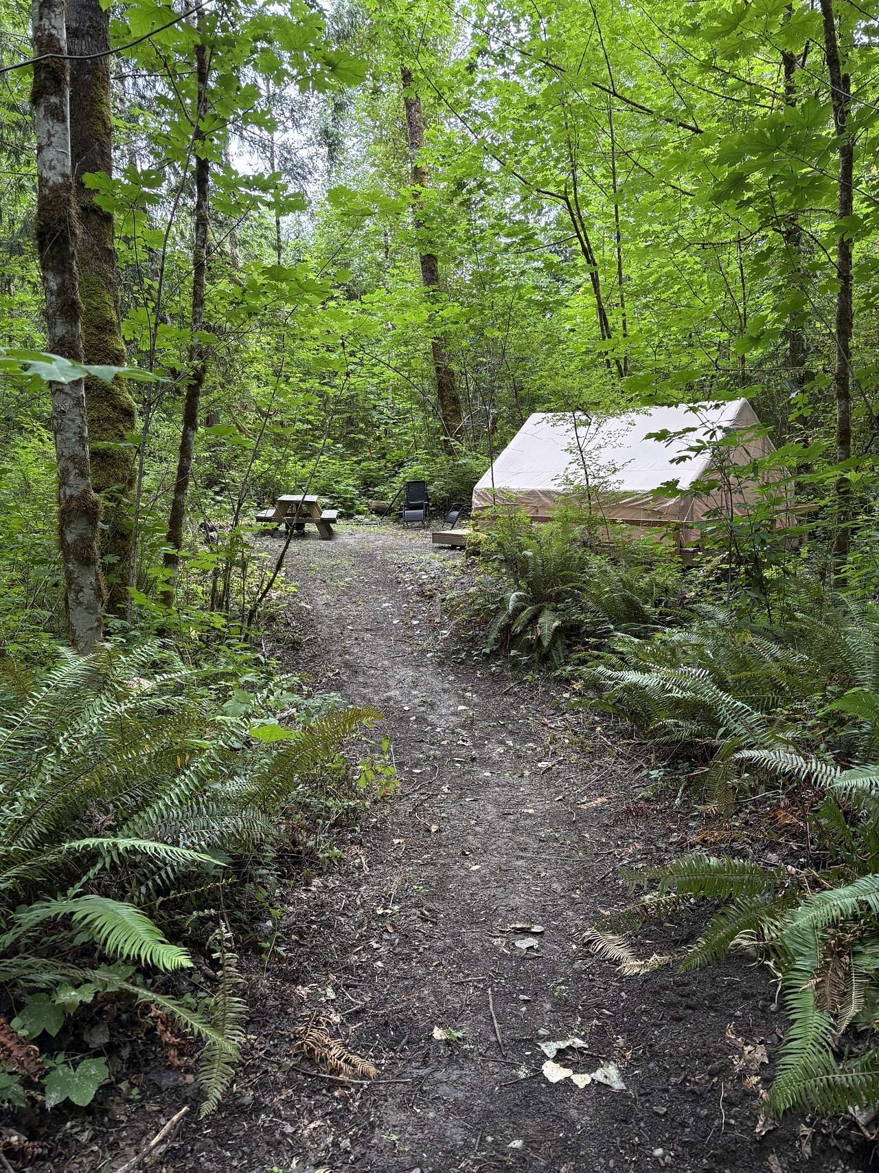 Picture of the site
